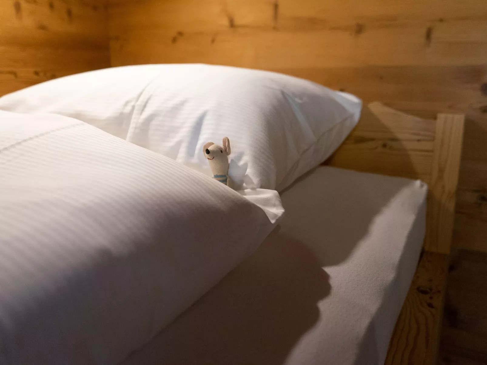 Chalet Selun - Buiten