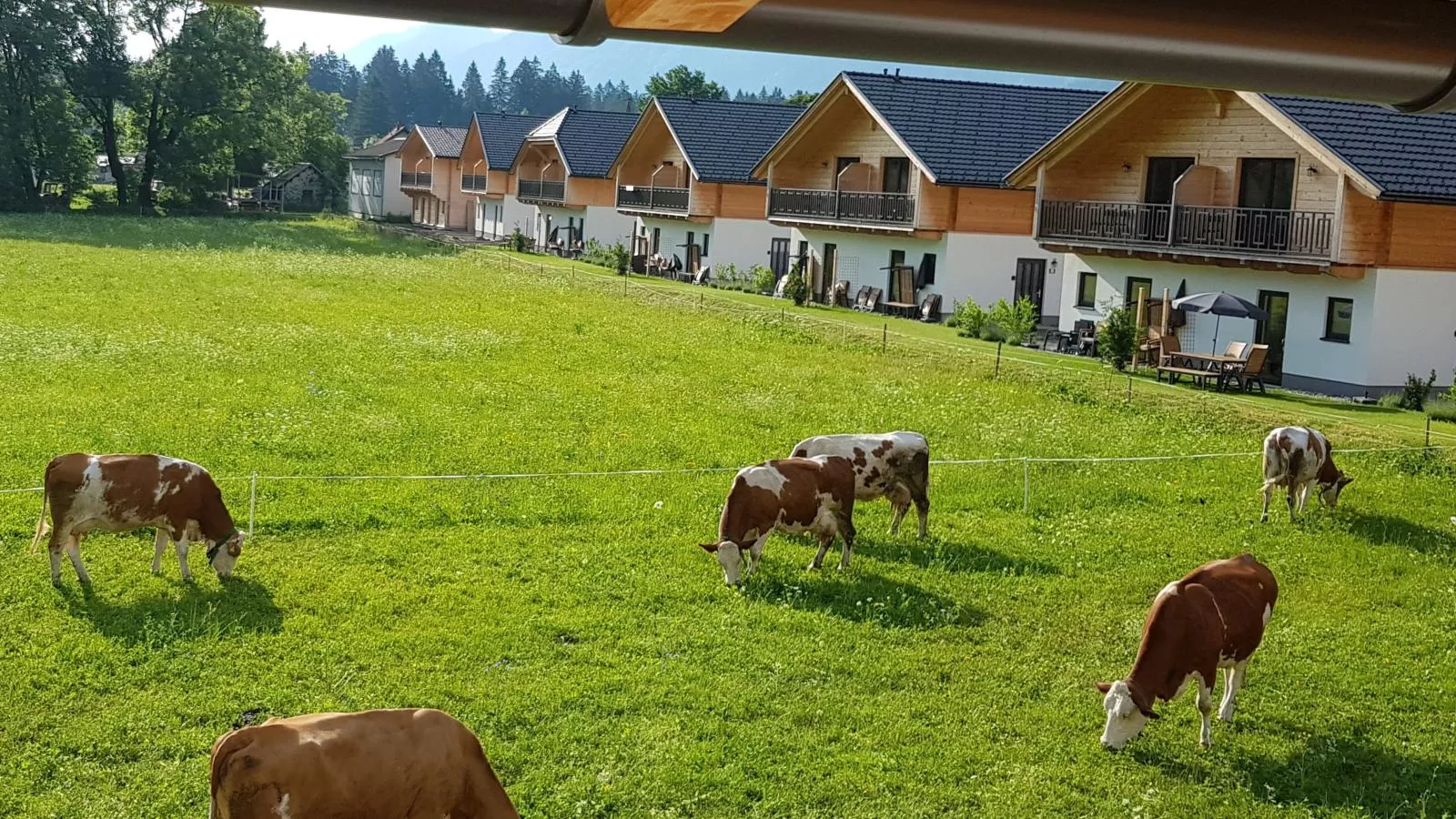 Rattendorf 23A - Uitzicht zomer