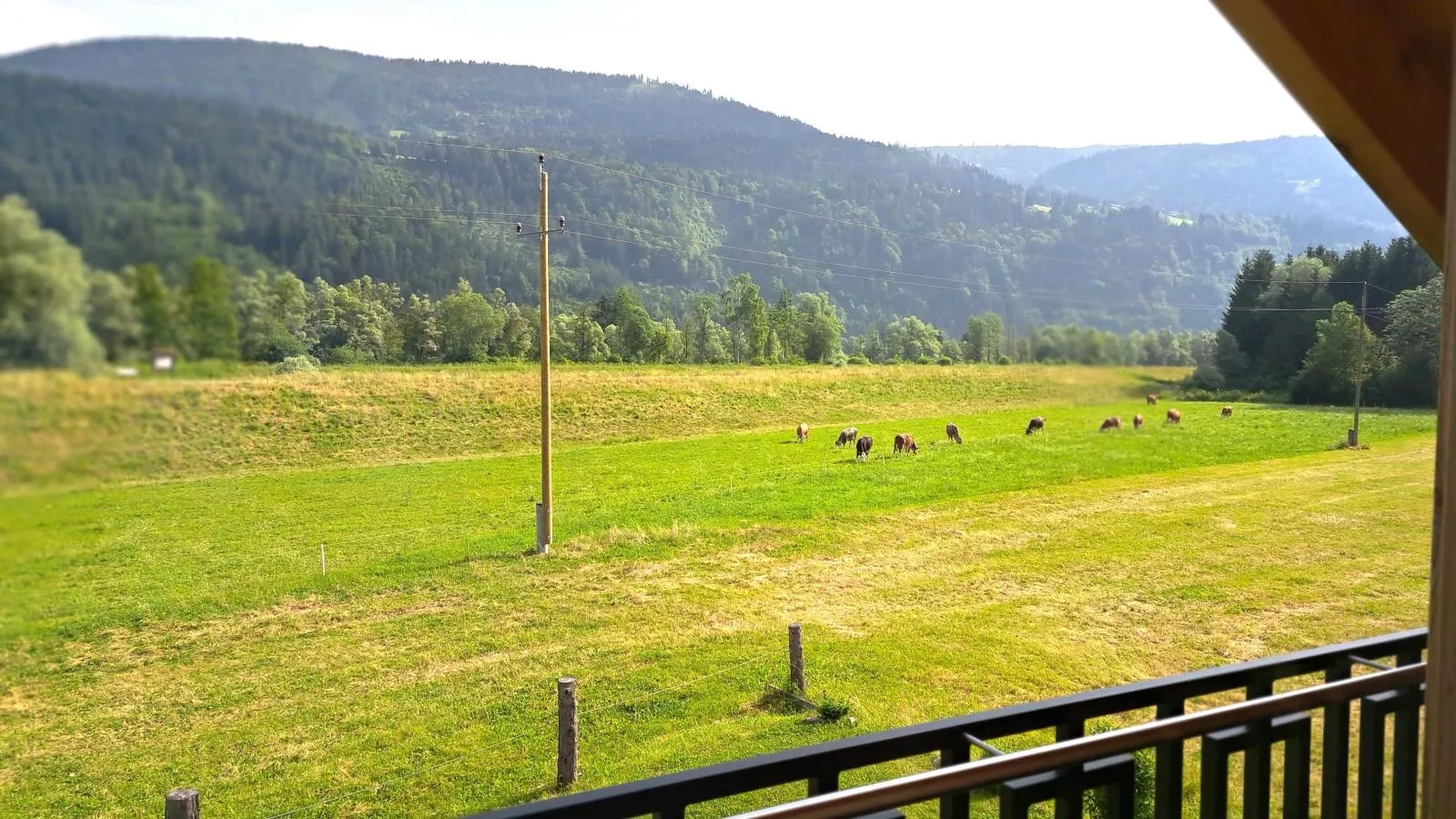 Rattendorf 23A - Uitzicht zomer