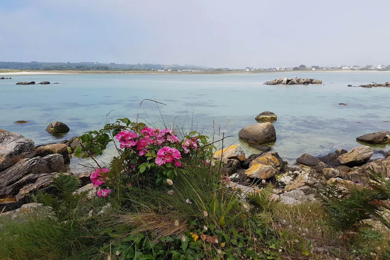 Ferienhaus in Strandnähe Guissény - Gebieden zomer 1km