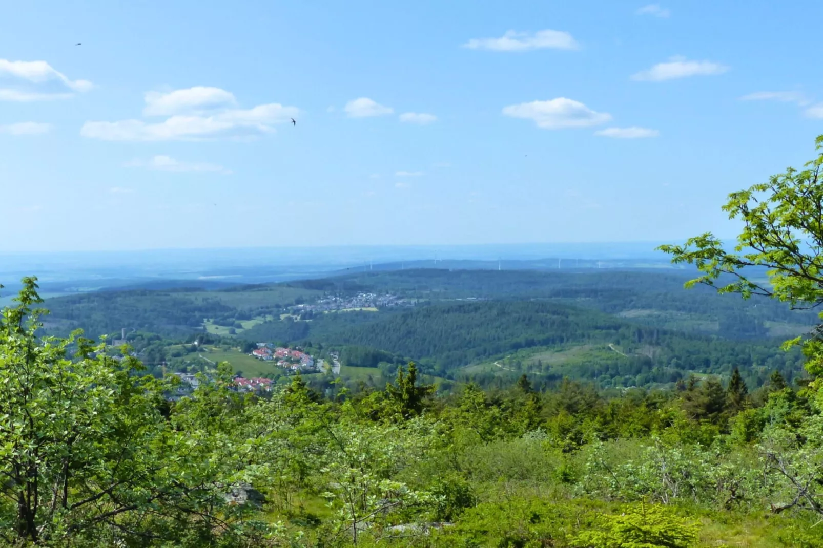 Apartment für Monteure Bad Camberg - Gebieden zomer 20km