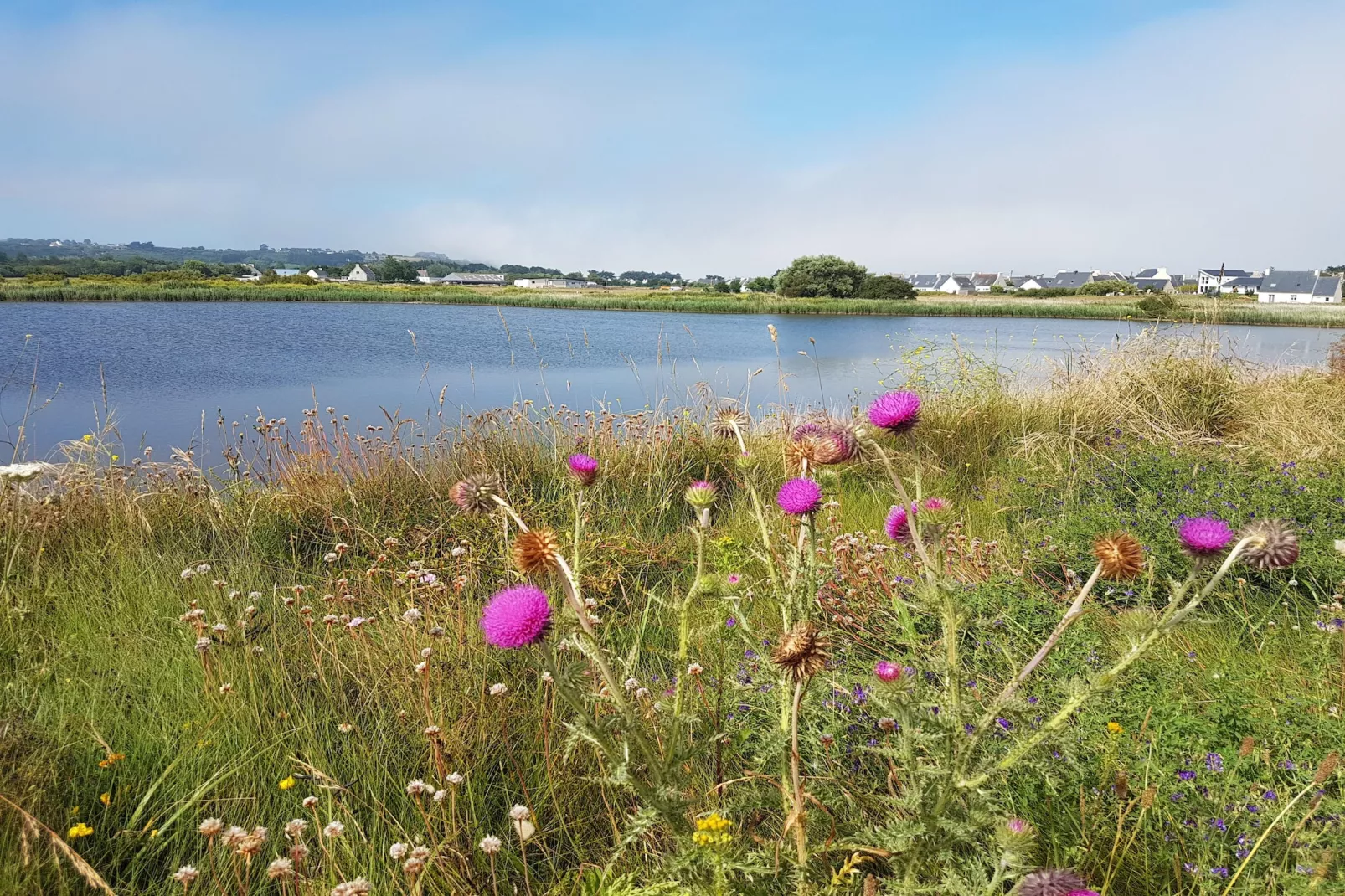 Ferienhaus in Strandnähe Guissény - Gebieden zomer 1km