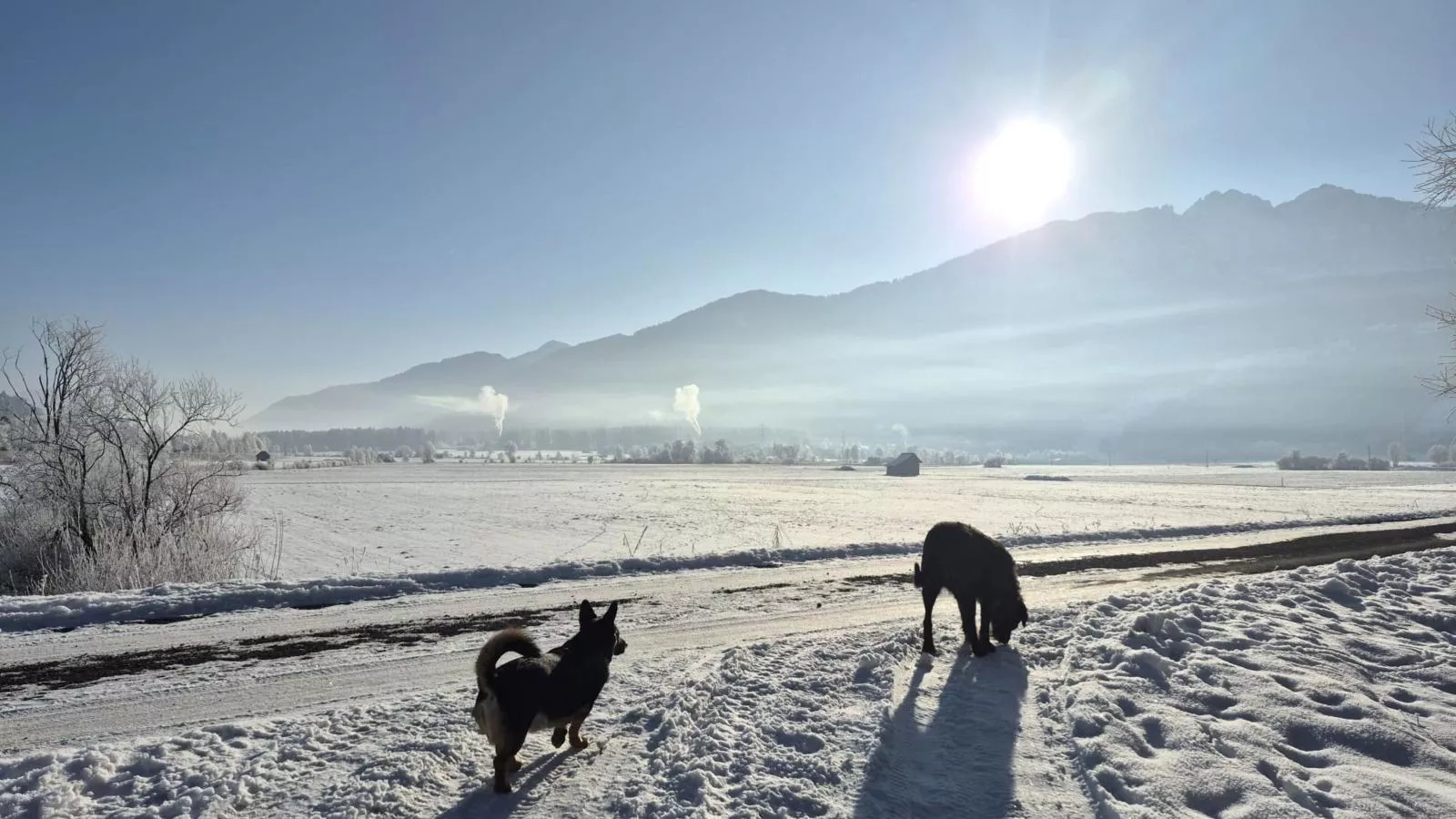 Rattendorf 23A - Gebied winter 1km