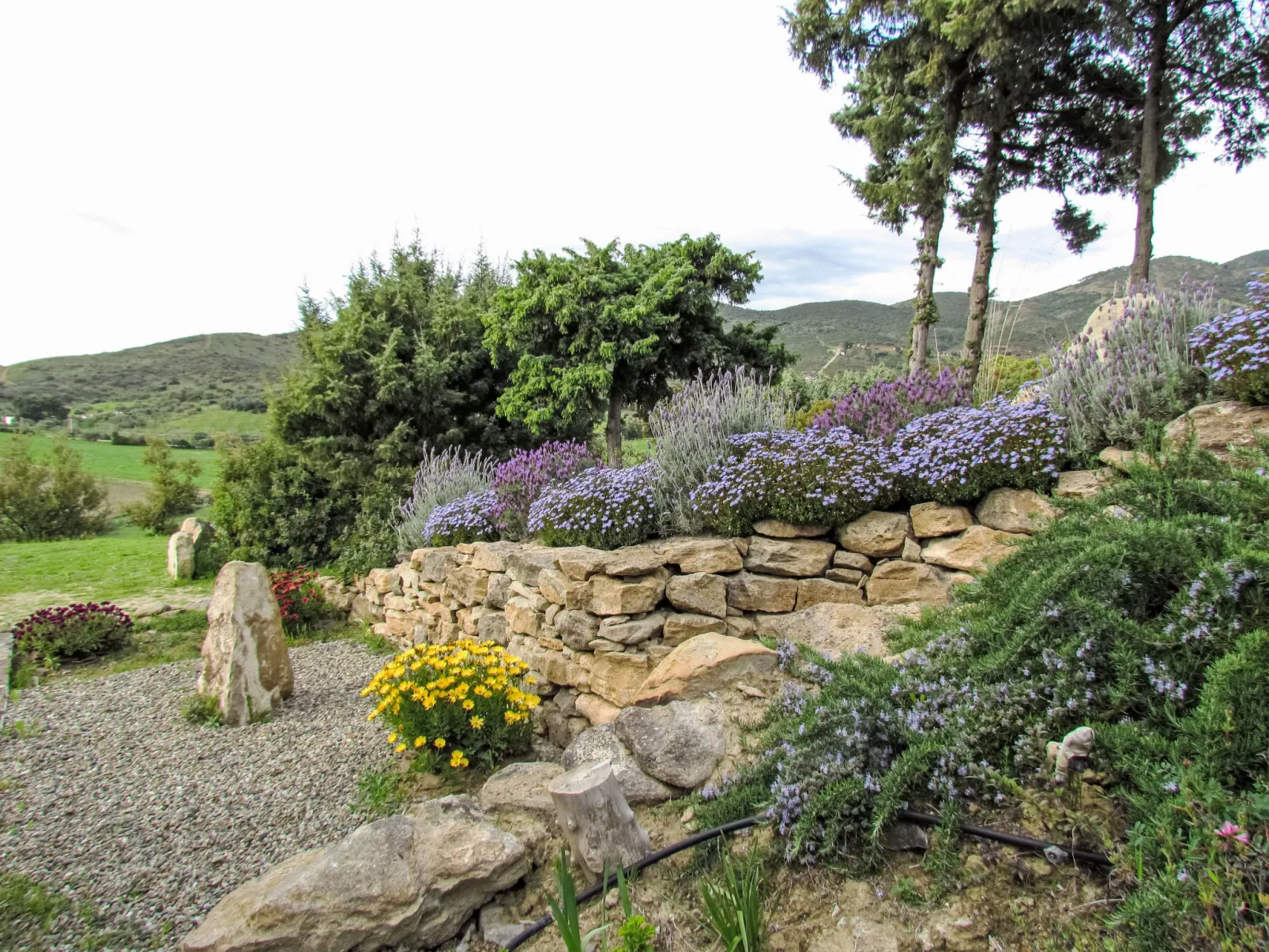Stone Cottage - Buiten