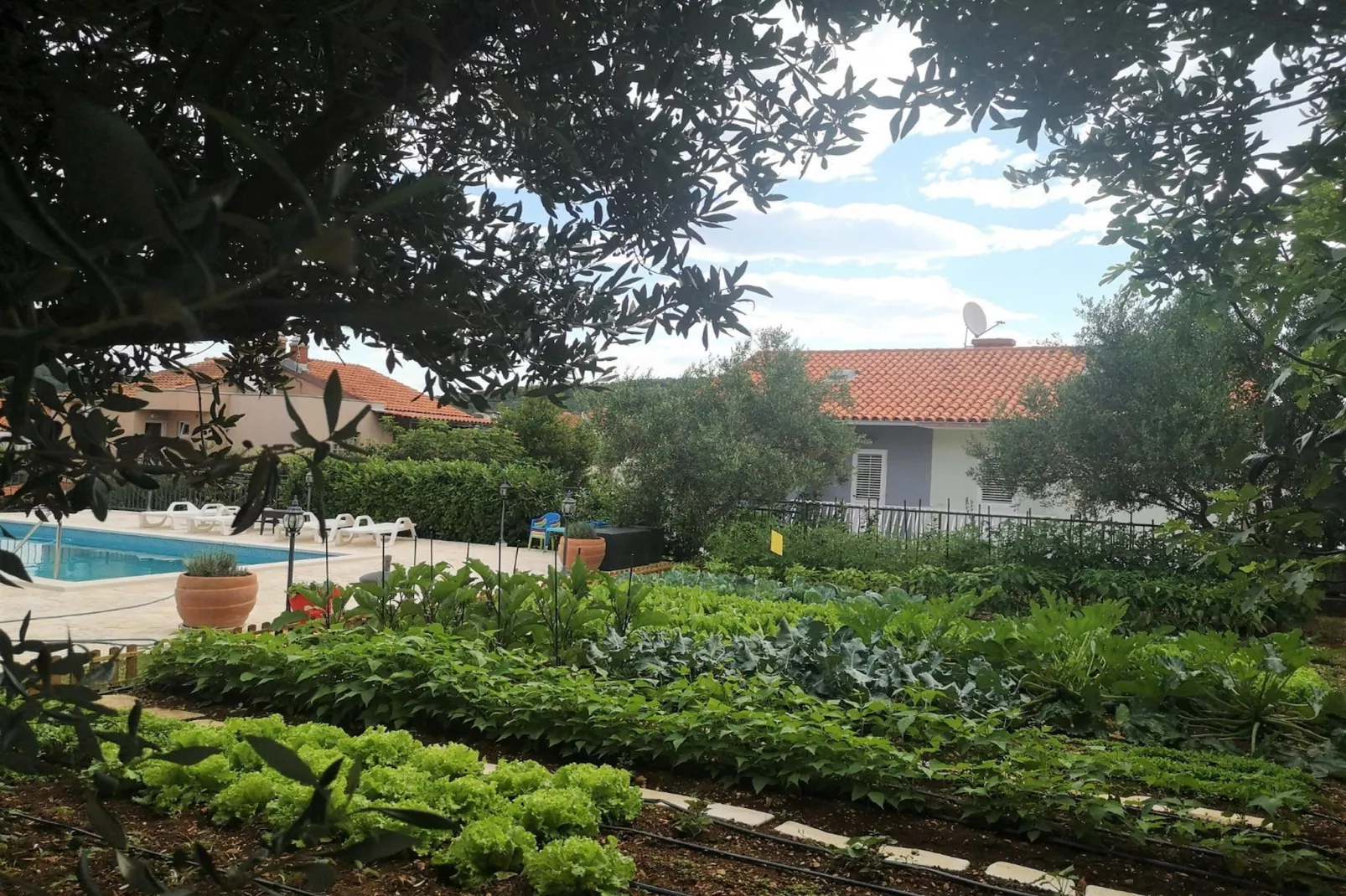 Villa Mendula - Tuinen zomer