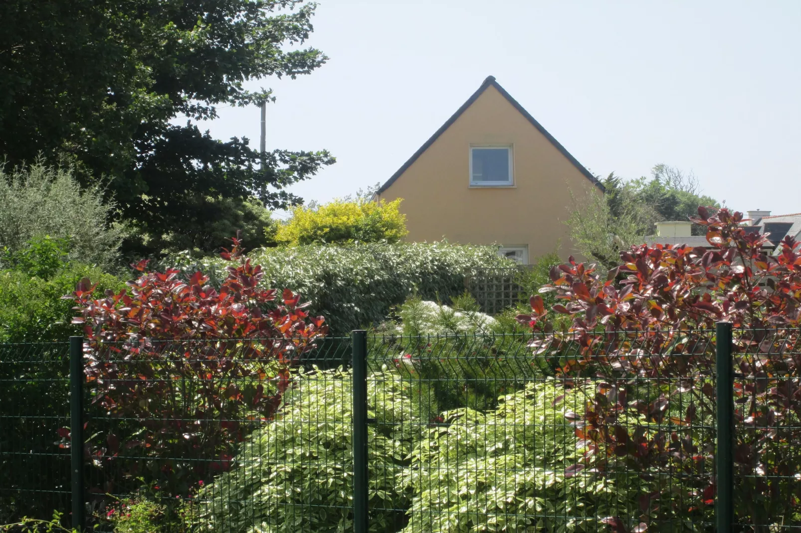 Ferienhaus Plounéour-Brignogan-Plages - Buitenkant zomer