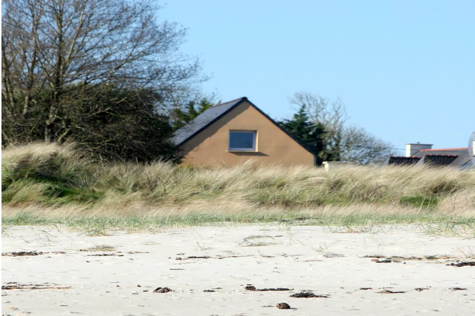 Ferienhaus Plounéour-Brignogan-Plages - Buitenkant zomer