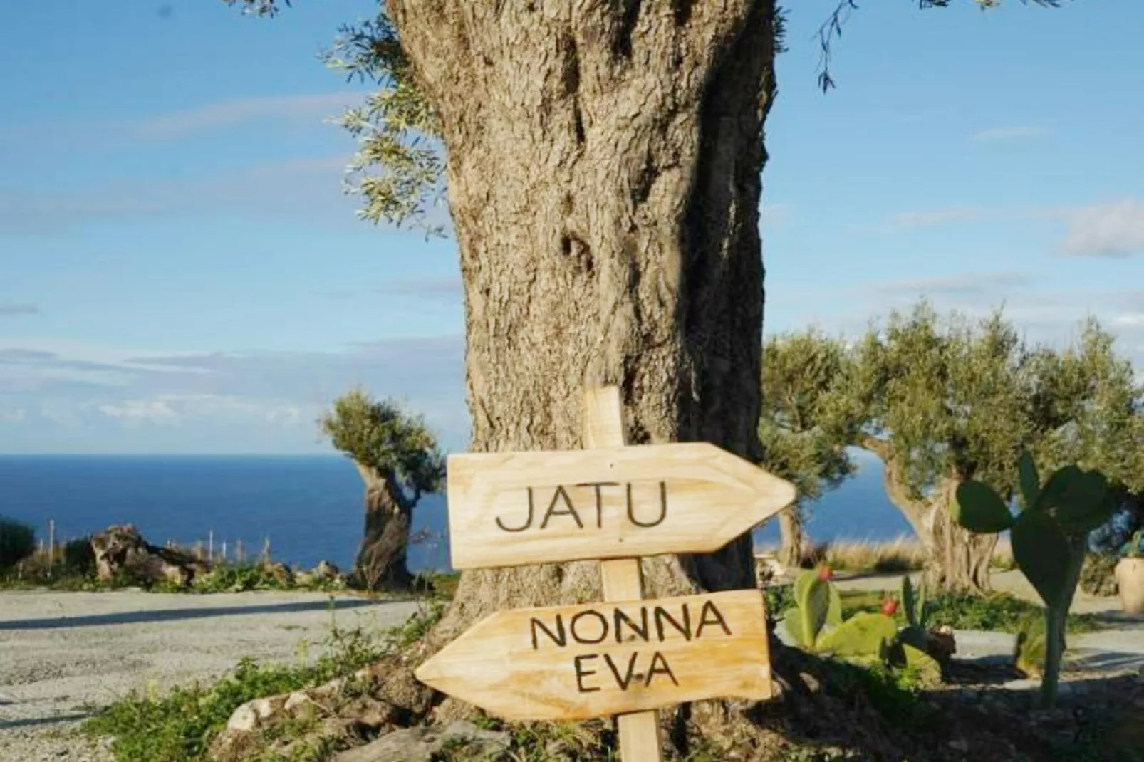 JATU RETREAT - Gebieden zomer 1km