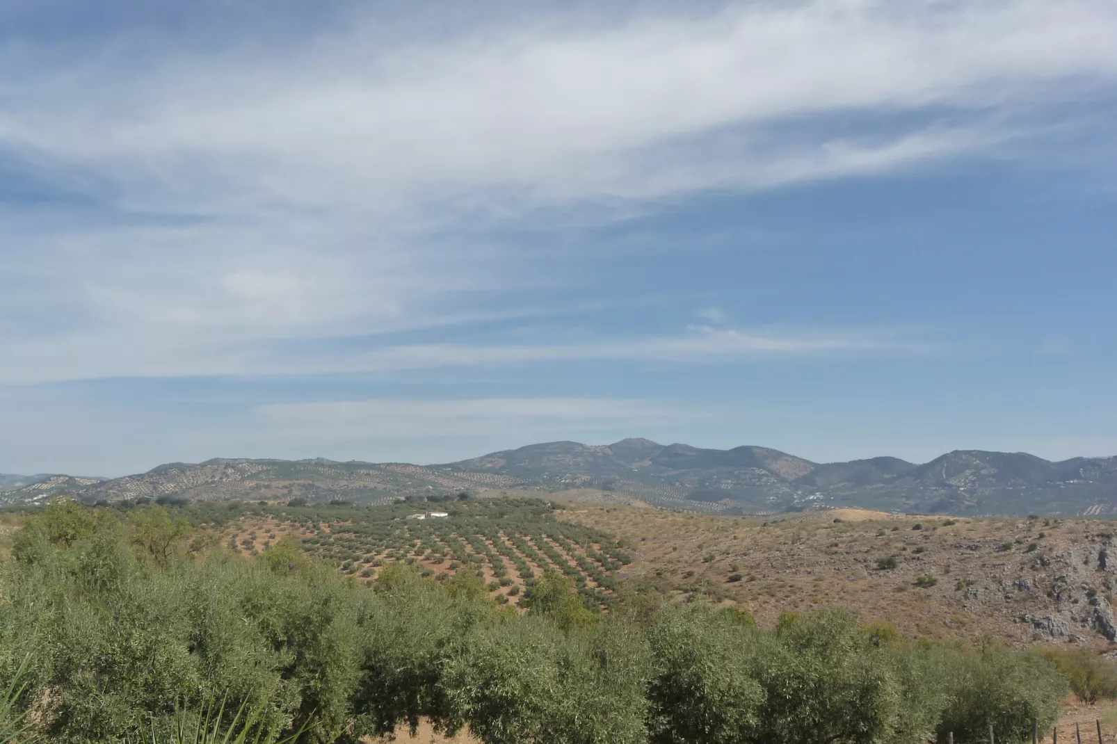 Cortijo El Morron - Uitzicht zomer