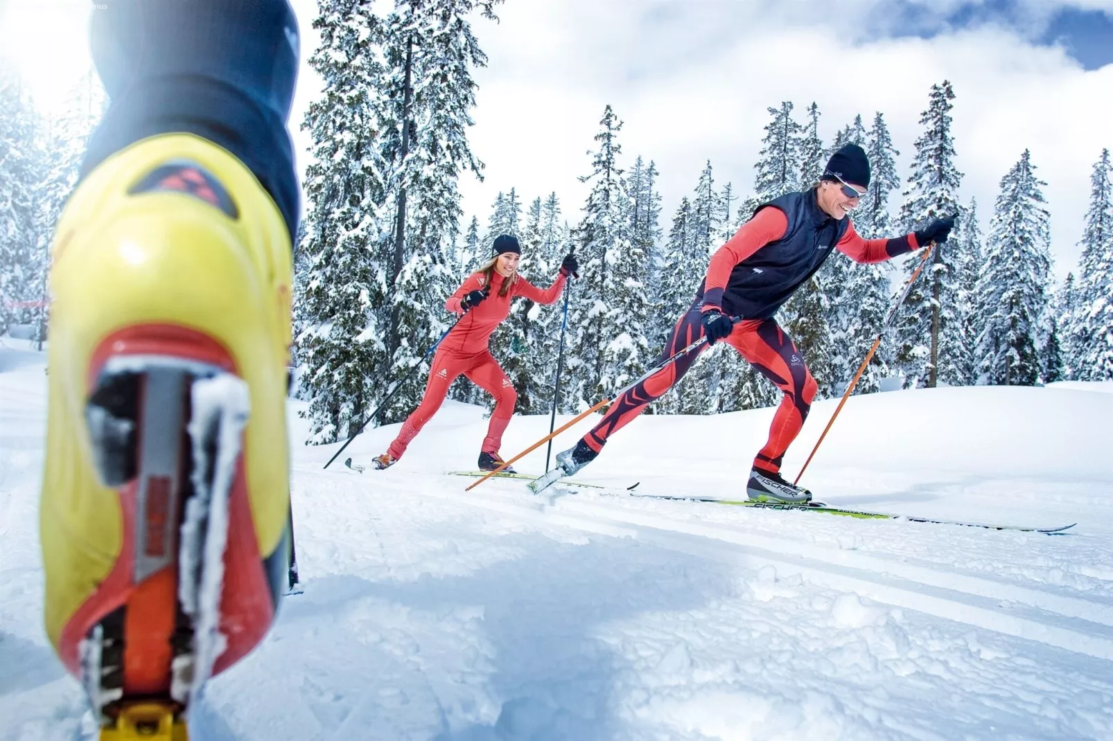 Oberkranzhof xl-Gebied winter 20km