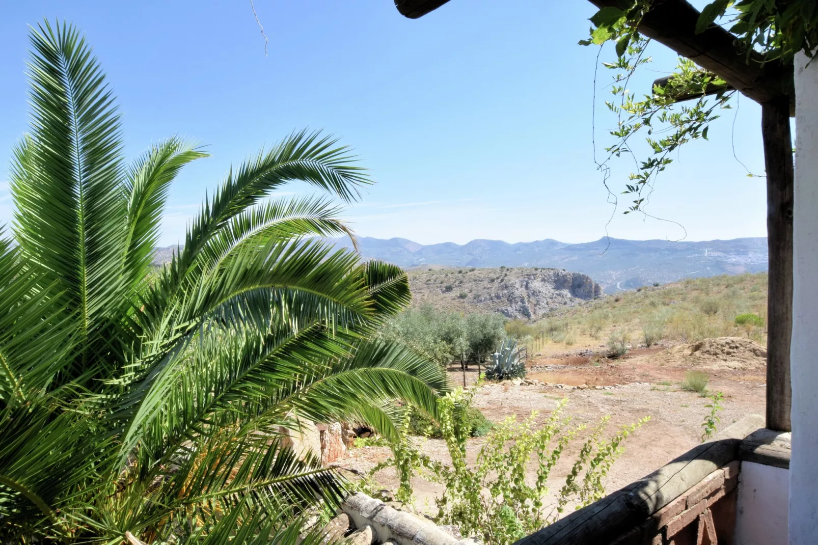 Cortijo El Morron - Uitzicht zomer