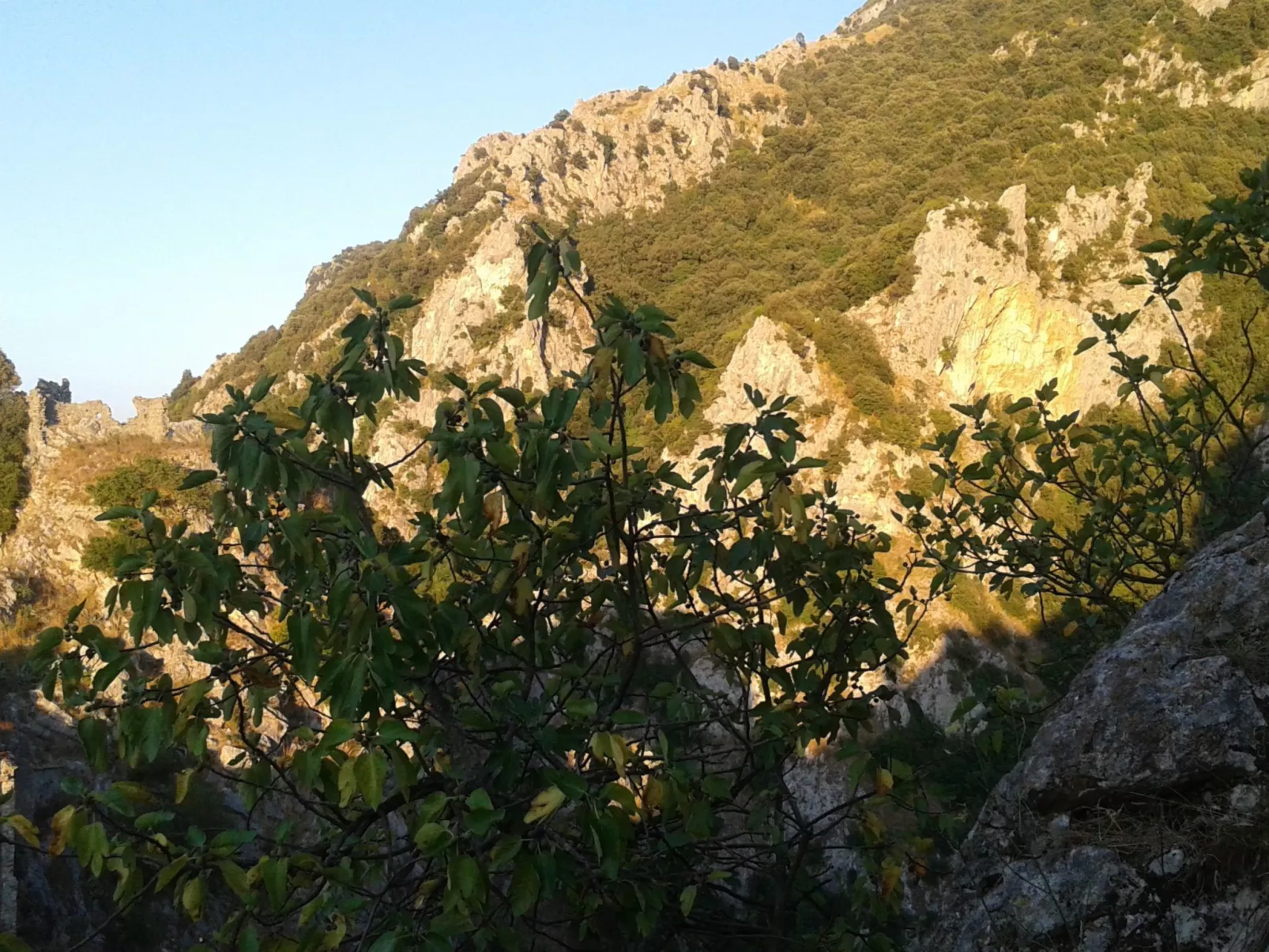 Appartement mit Garten, Terrasse und Grill - Image-tags.info