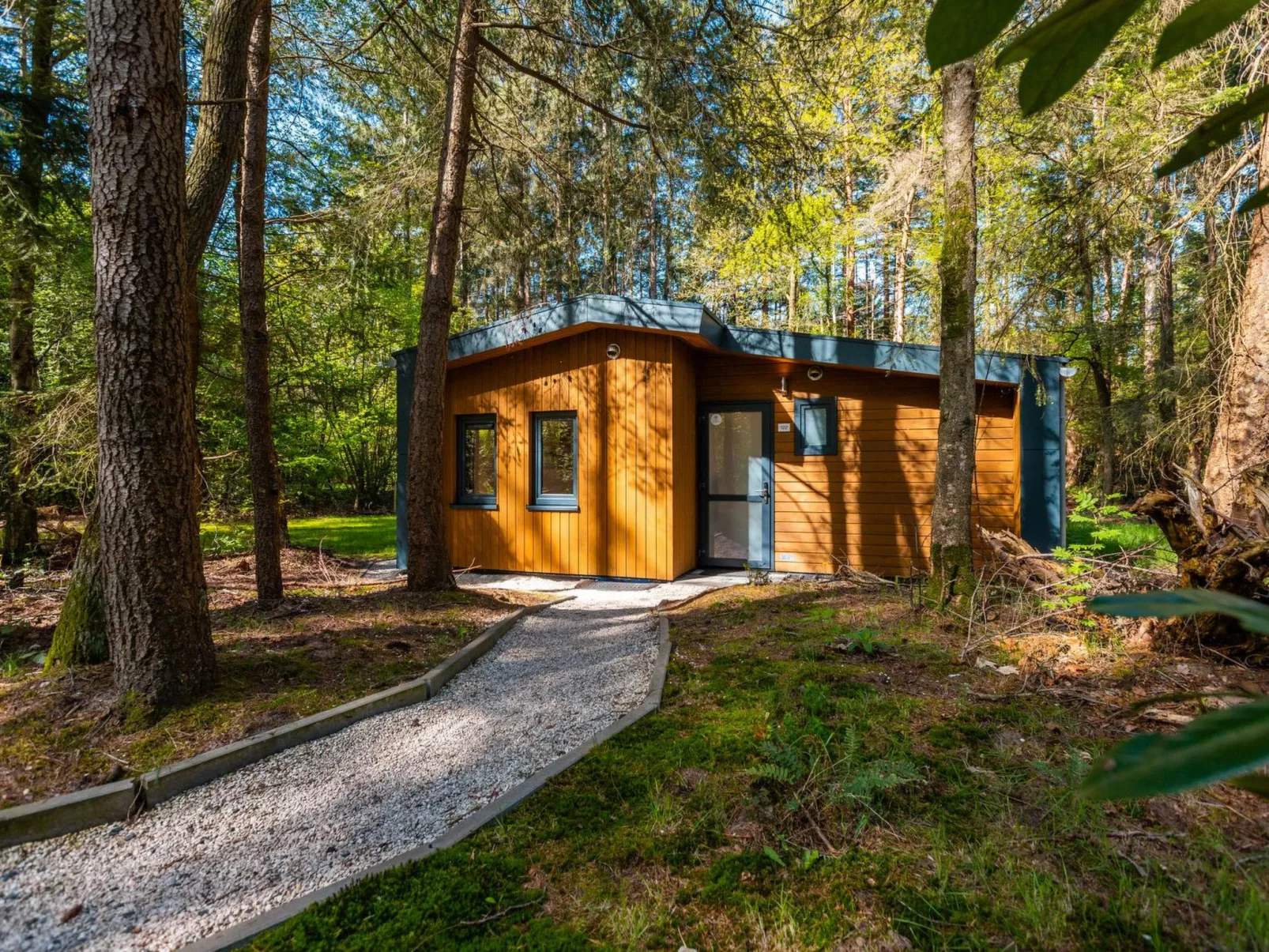 Vakantiepark De Wiltzangh - Zandborg Lodge