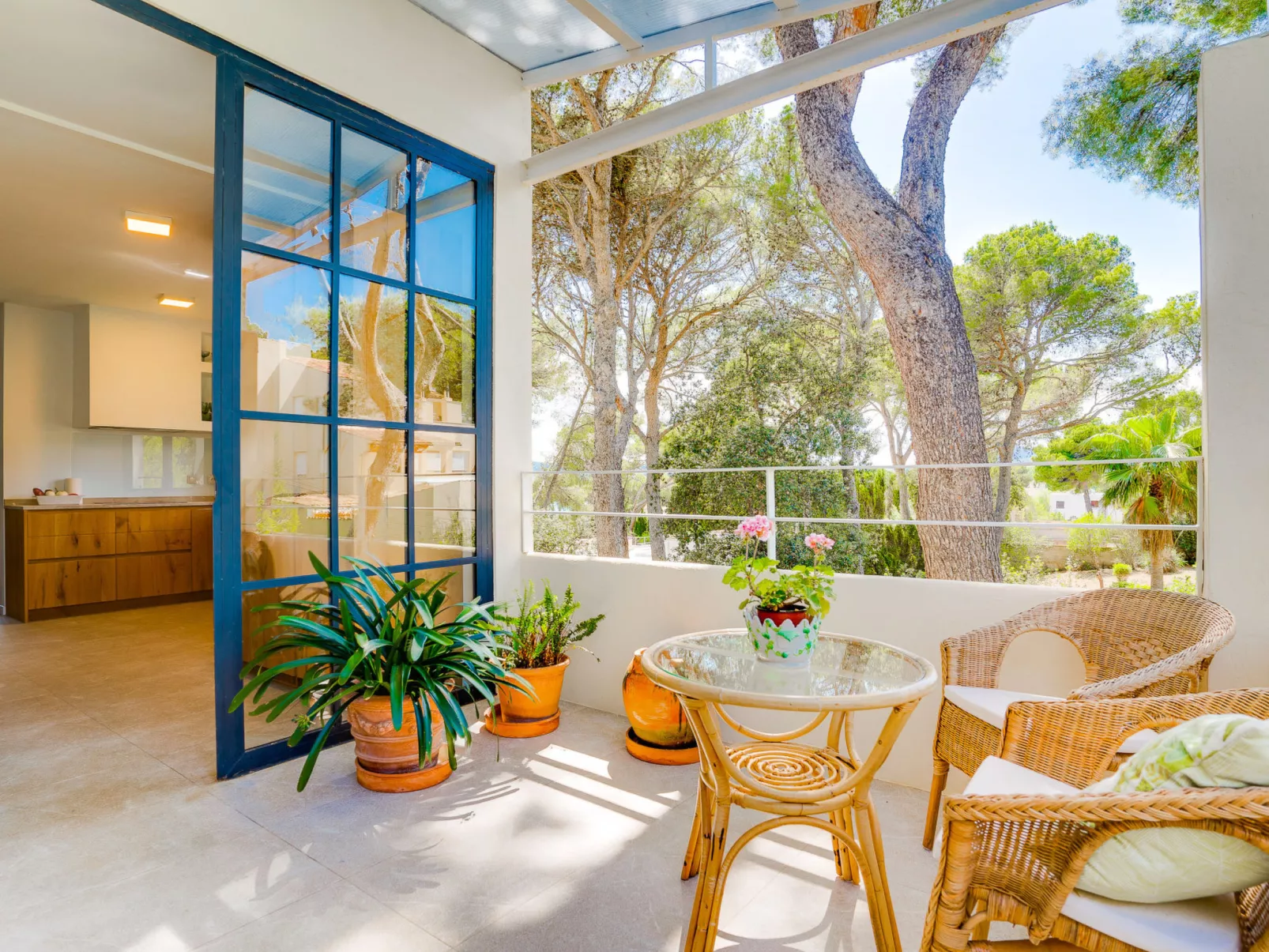 SES ALZINES APARTMENT