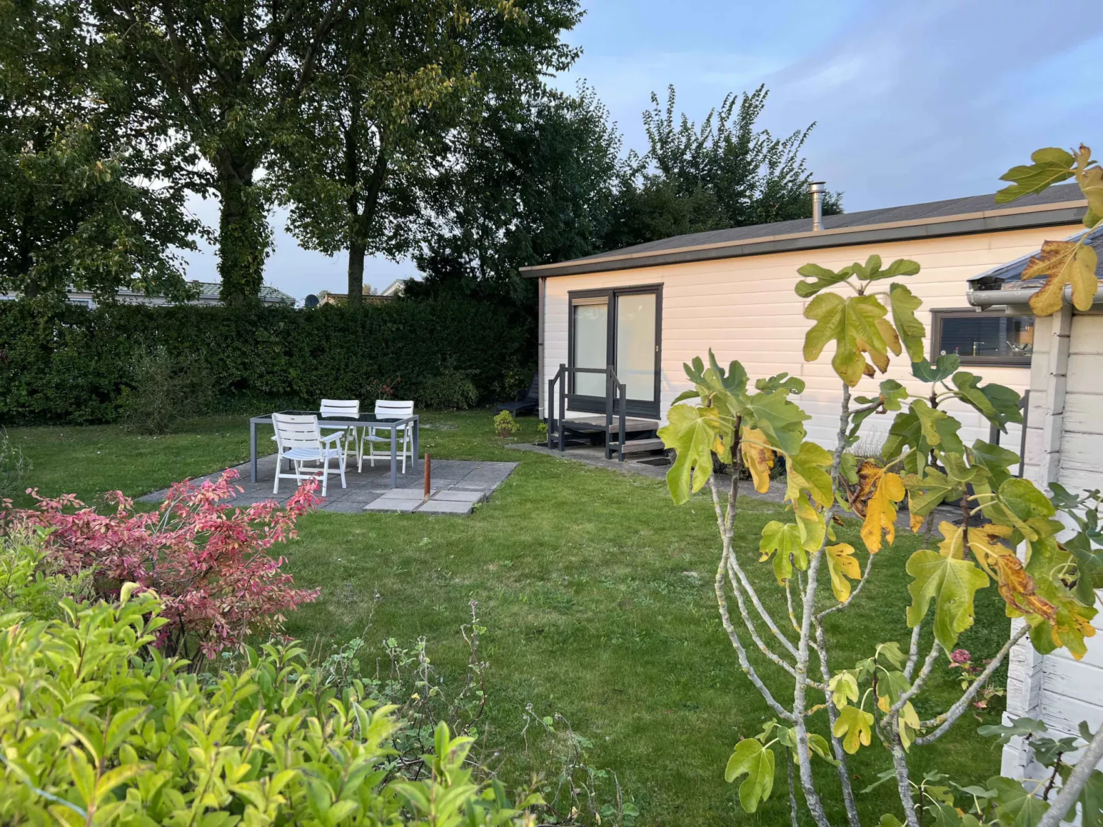 Beach Resort Nieuwvliet Bad - 1204