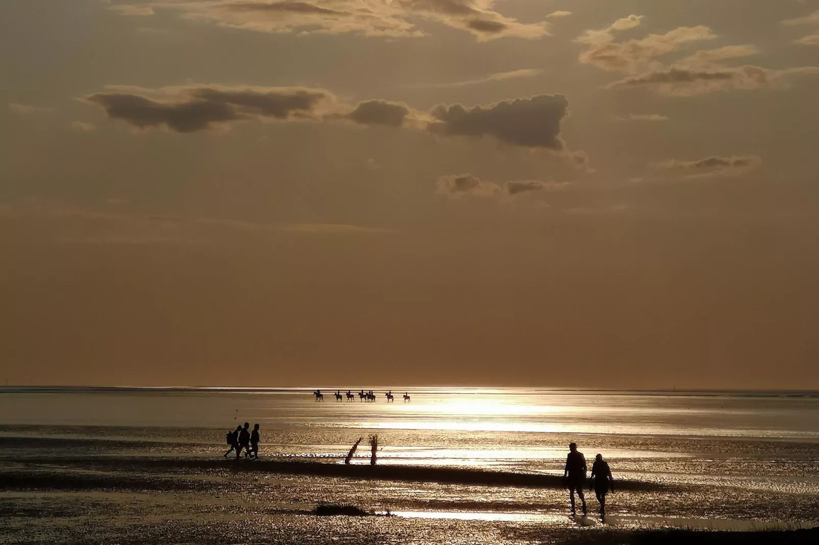 Neue Ferienwohnung in Cuxhaven-Gebieden zomer 1km