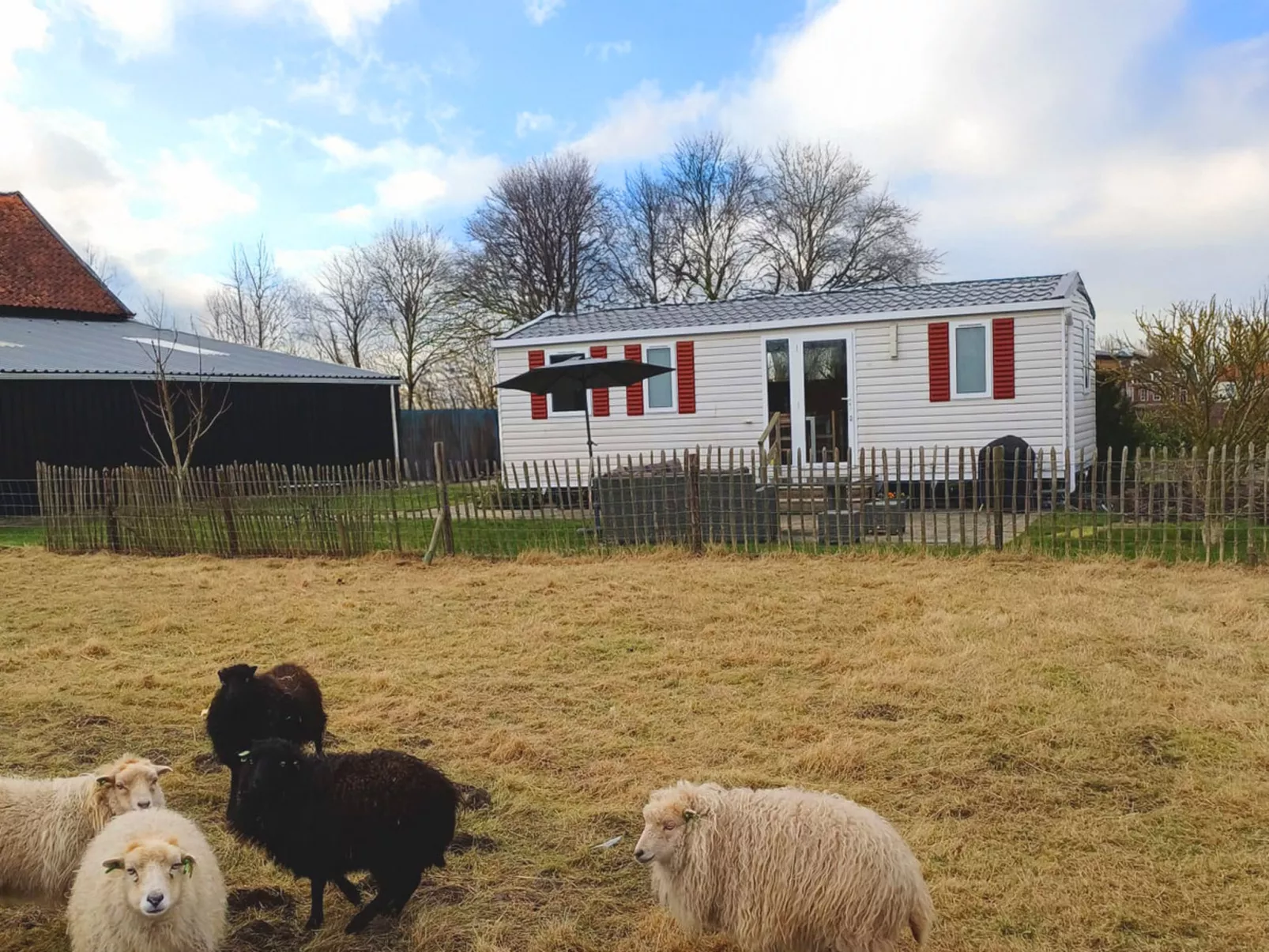 Camping Hofstede Zonnevliet - Zeeuwse Knoop