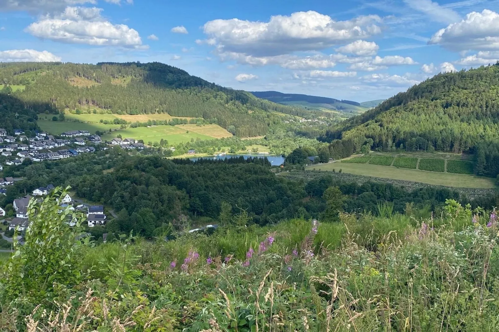 Studio Am Eschenberg 4-Uitzicht zomer