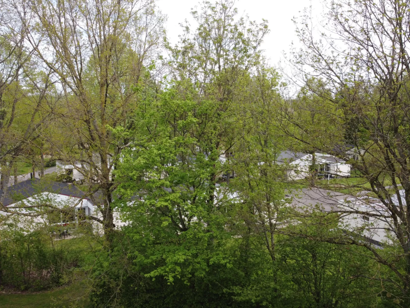 Bungalowpark Simpelveld - Schakel 16 - Buiten