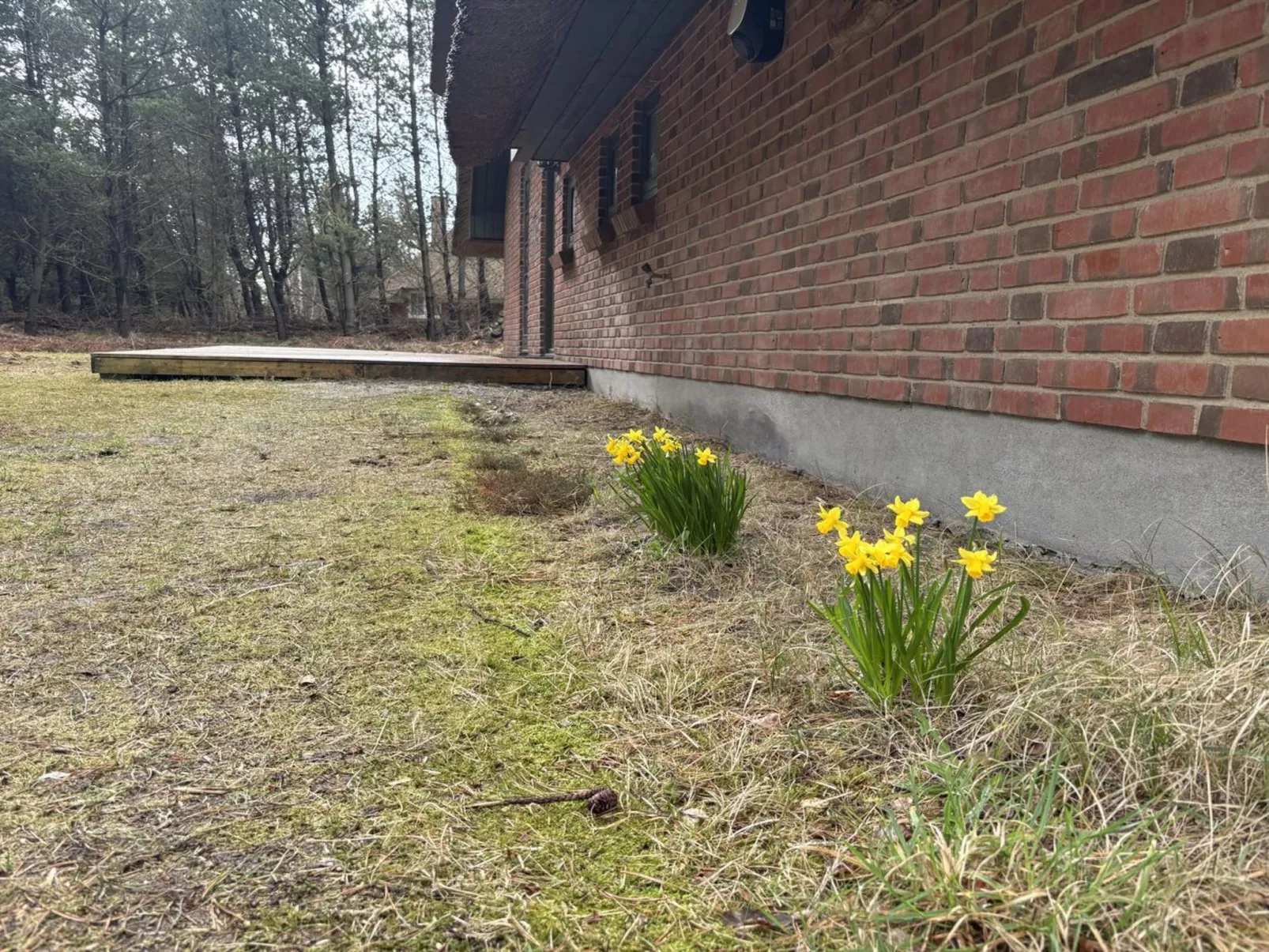 "Ullamaj" - 700m from the sea - Buiten