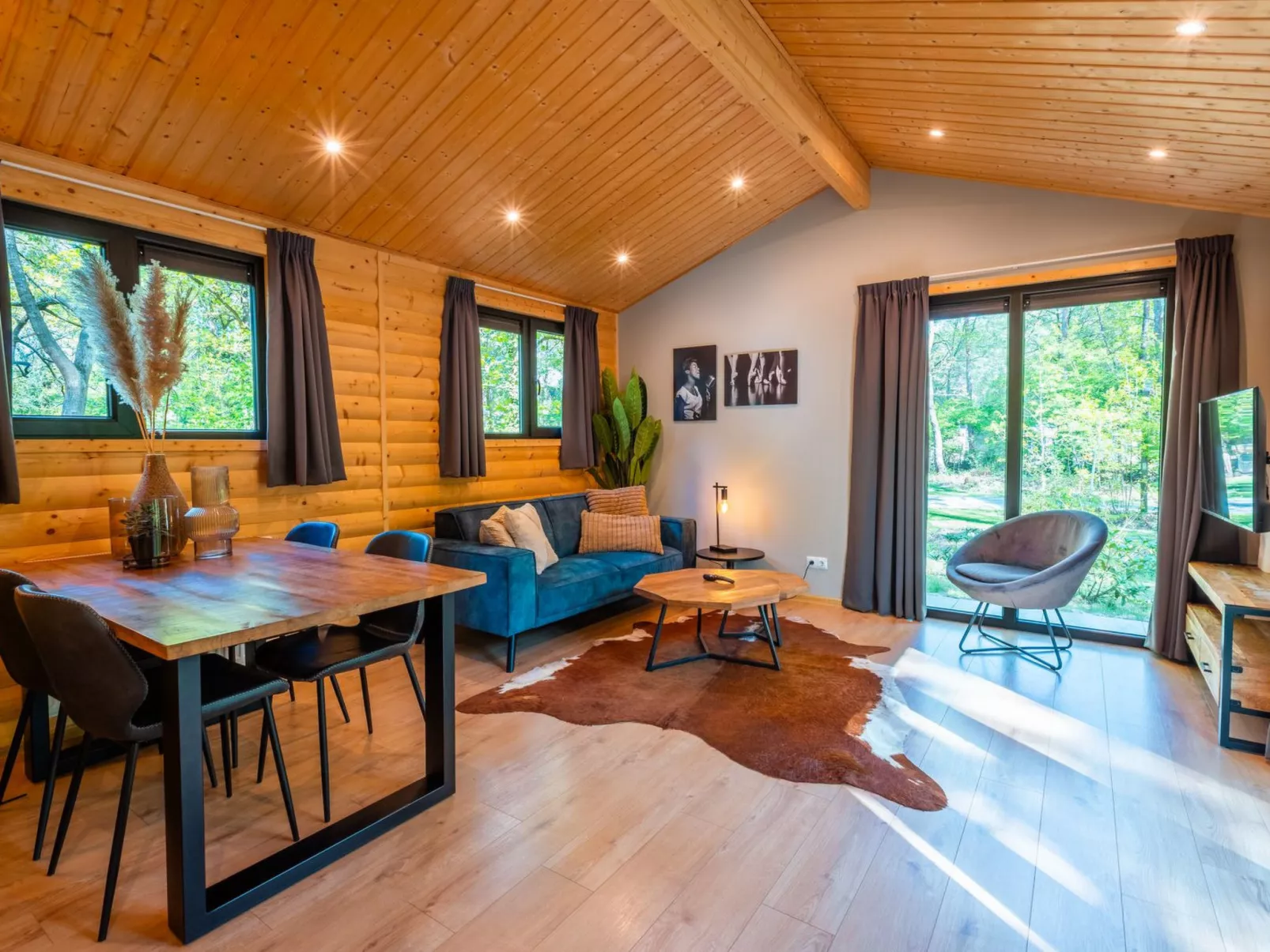 Vakantiepark De Wiltzangh - Sterrenborg Lodge - Binnen