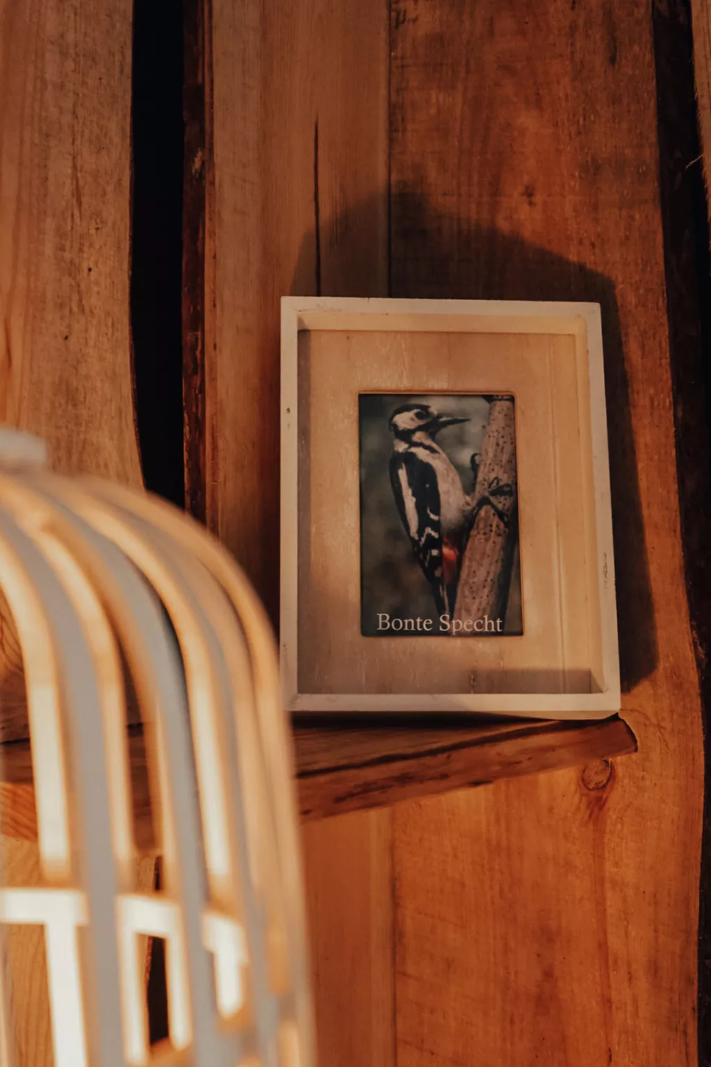 Hoeve Twente - De Bonte Specht - Buiten