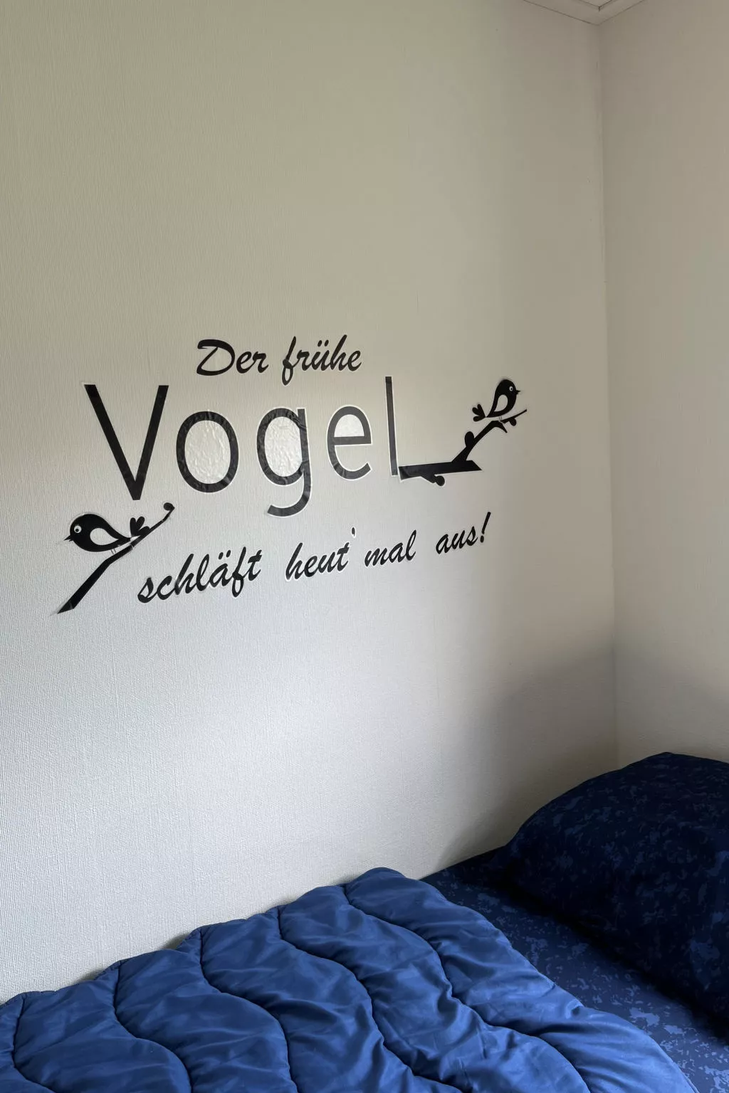 ZP 490 - Camping de Zandput - Binnen