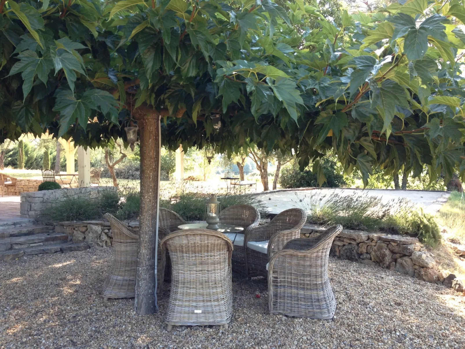 LI SIAN BEN - Buiten