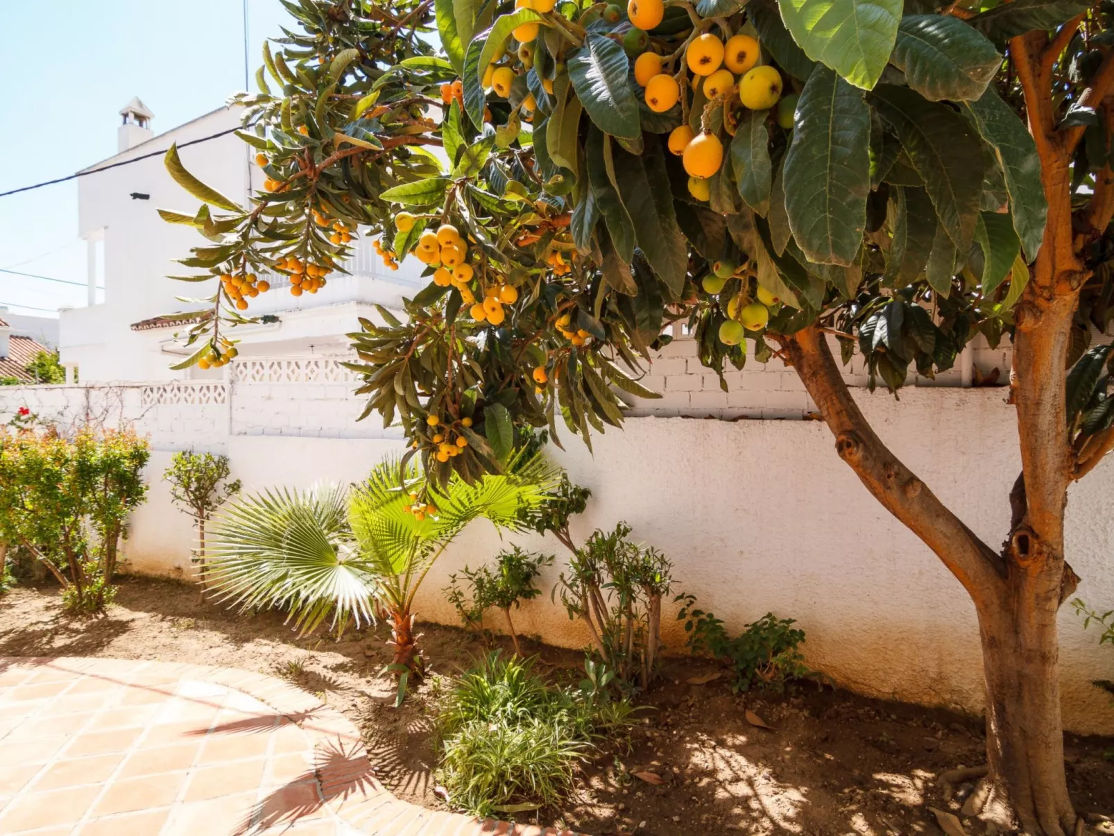 Los Pinos 23 Villas by Casasol - Buiten