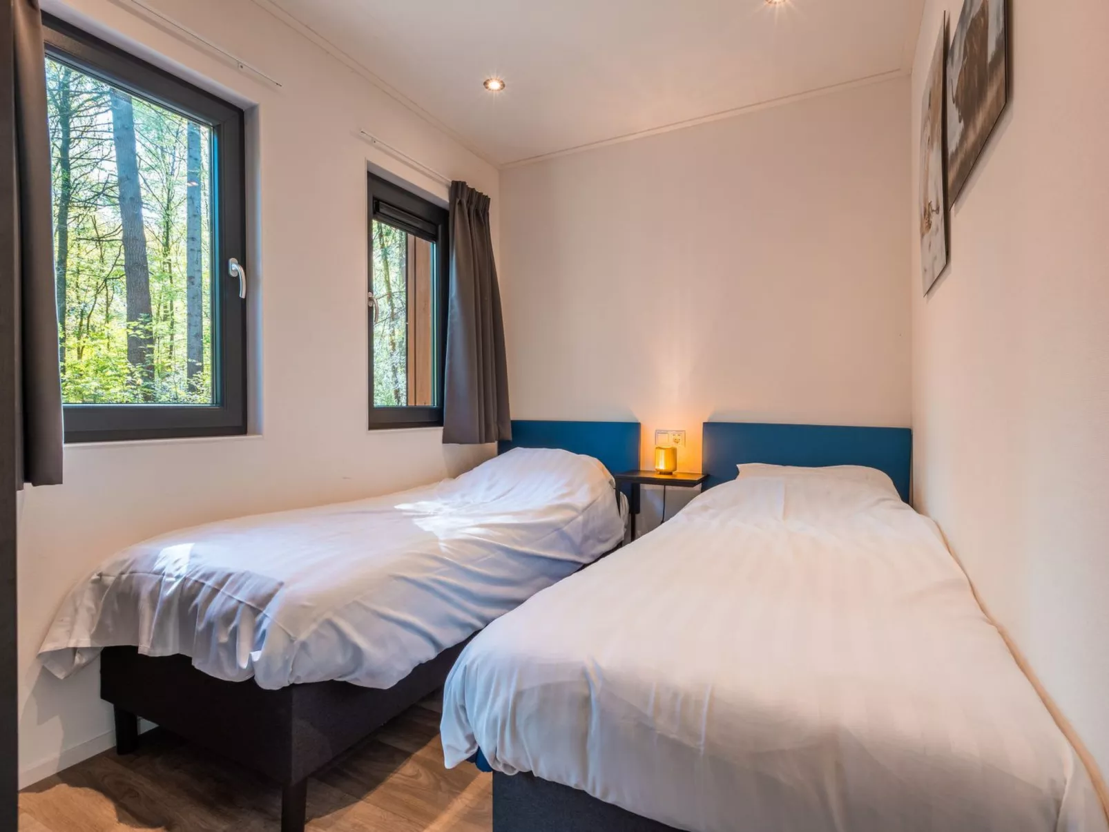 Vakantiepark De Wiltzangh - Zandborg Lodge - Binnen