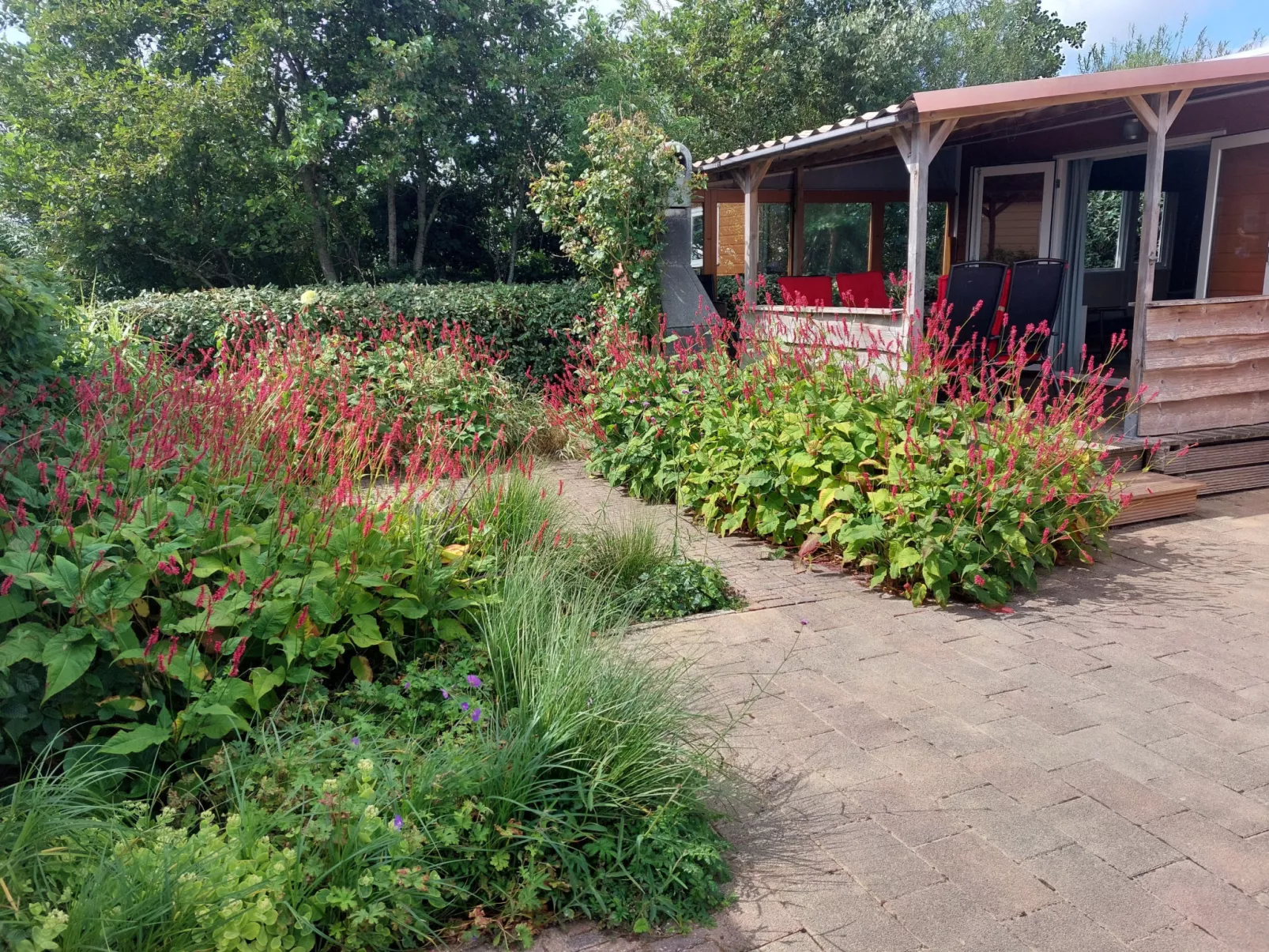 CS 48 - Vakantiepark Callassande - Buiten