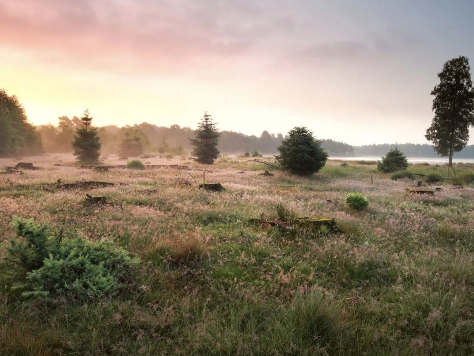 Vakantiepark De Wiltzangh - Tiny Borg - Buiten