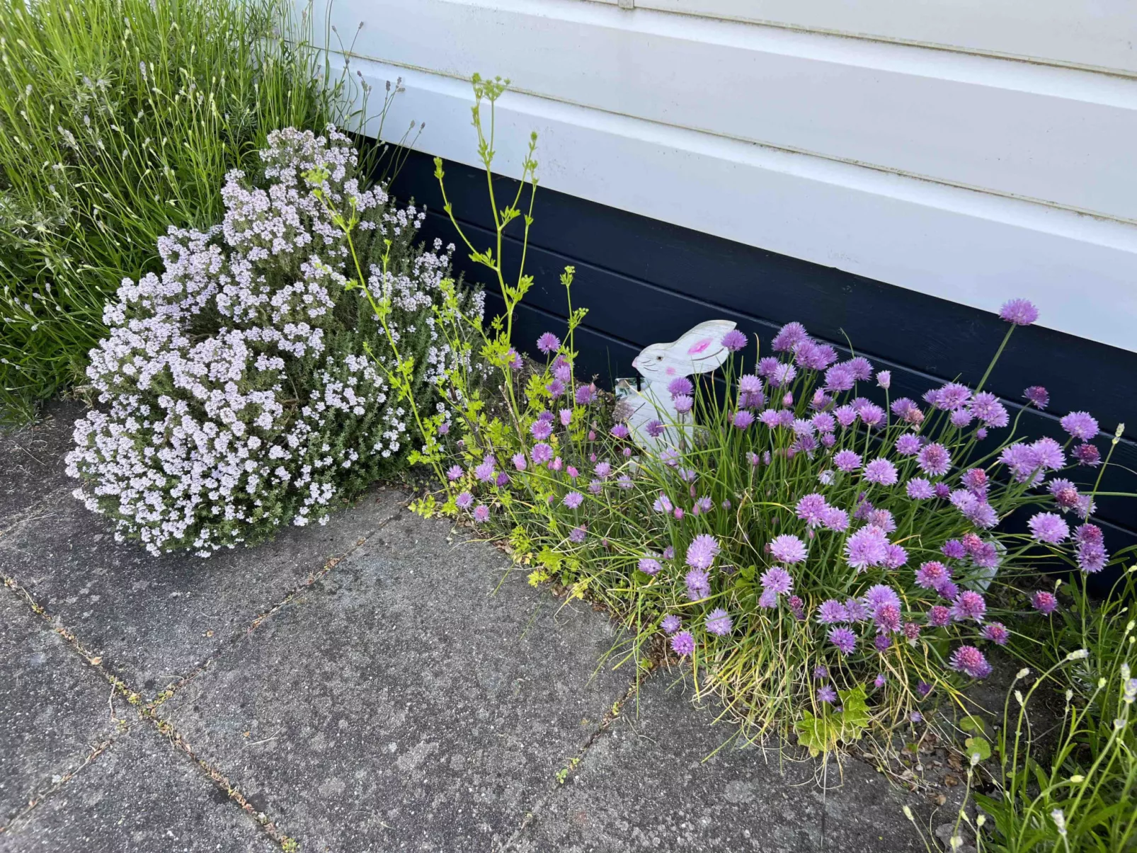 Beach Resort Nieuwvliet Bad - 1204 - Buiten