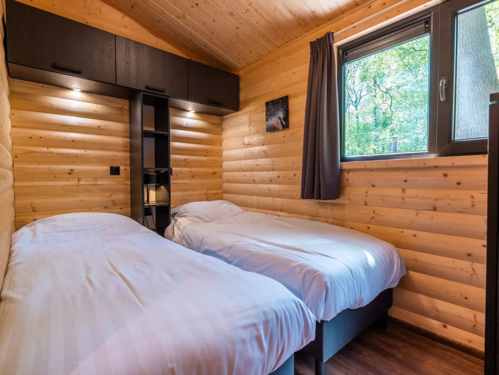 Vakantiepark De Wiltzangh - Esborg Lodge Hottub 6 - Binnen