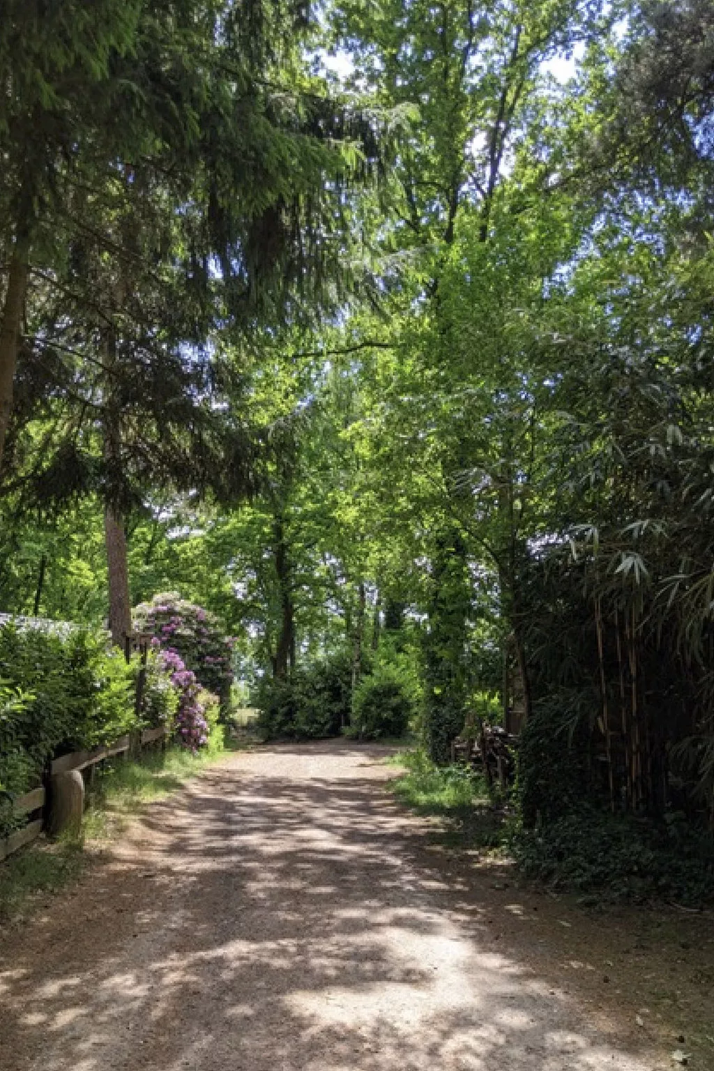 Chaletpark Kempenbos - 73 - Buiten