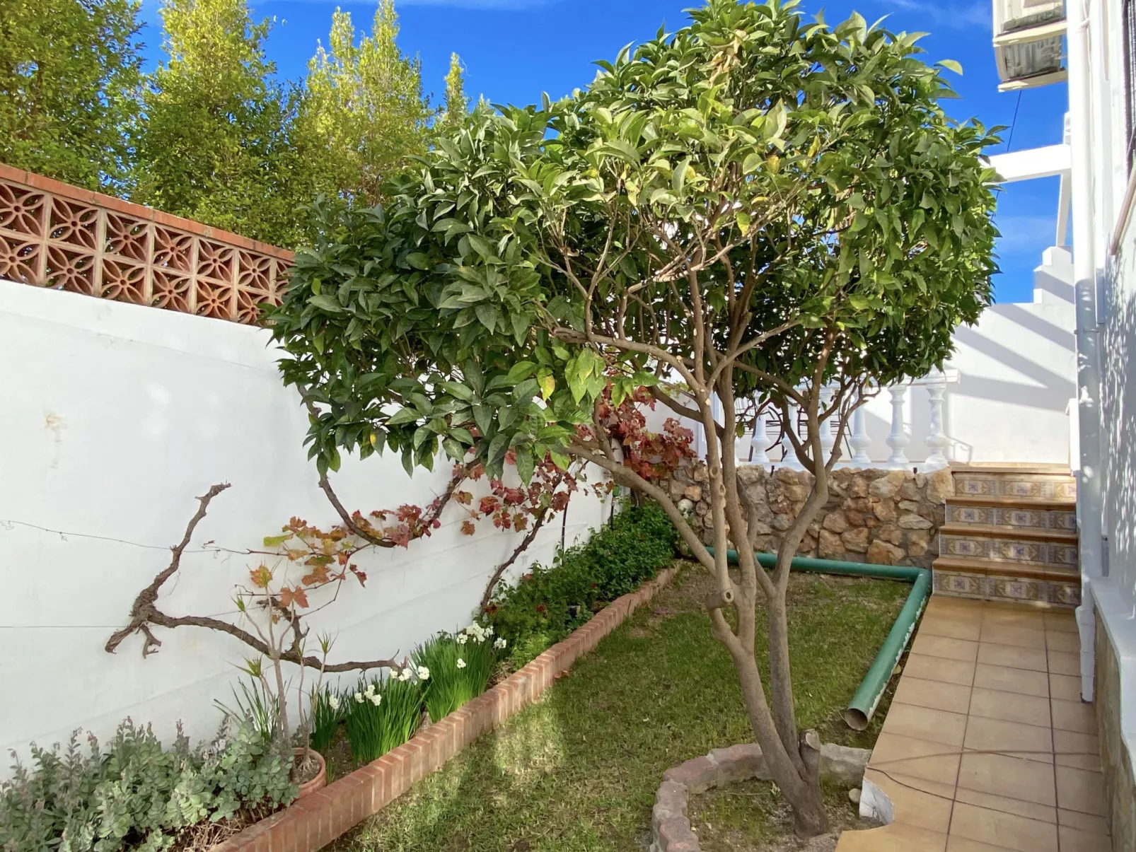 Villa Sandra Little Haven Apartment by Casasol - Buiten