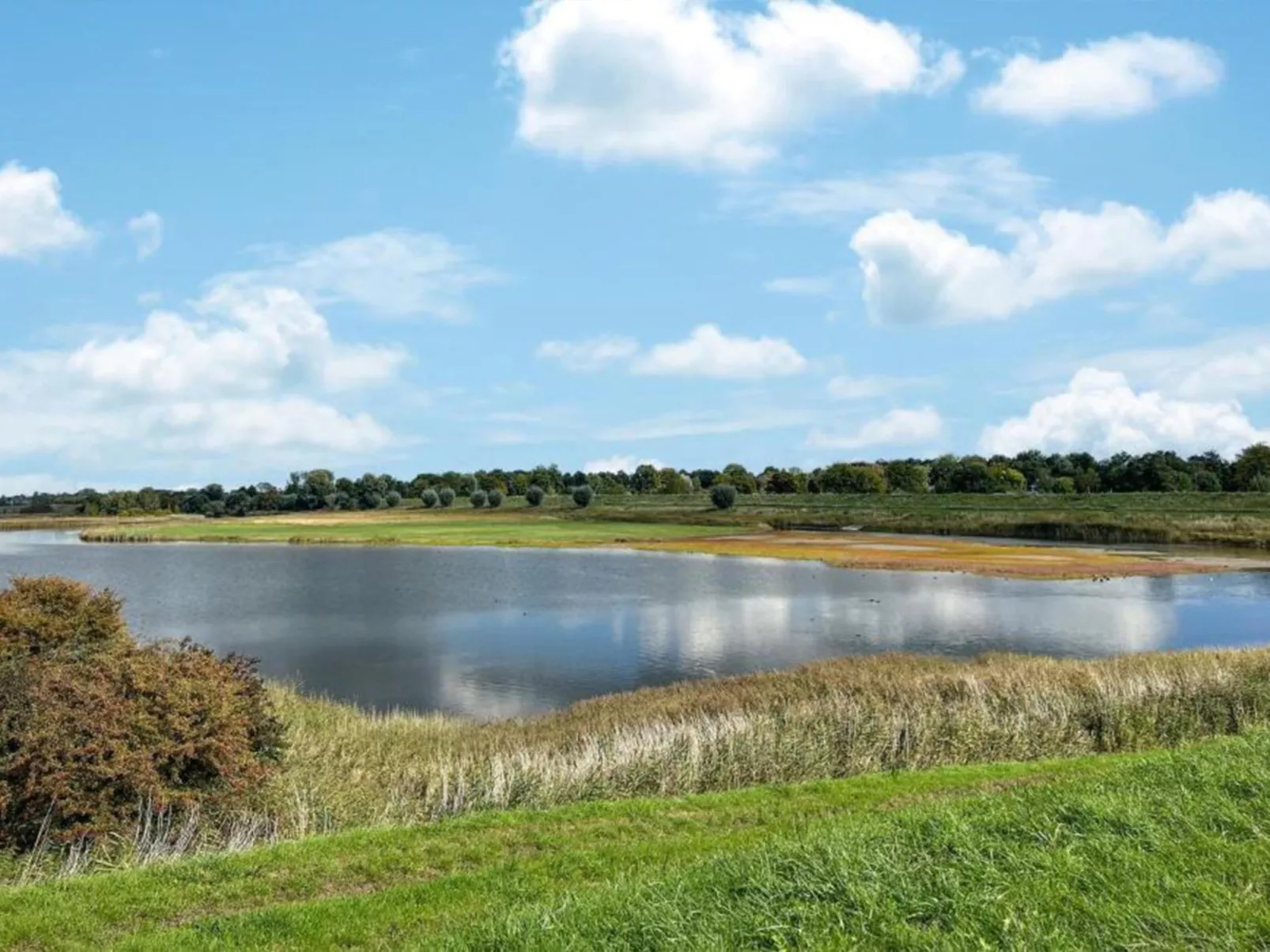 Vakantiepark de Zeeuwse Parel - De Witte Parel - Buiten
