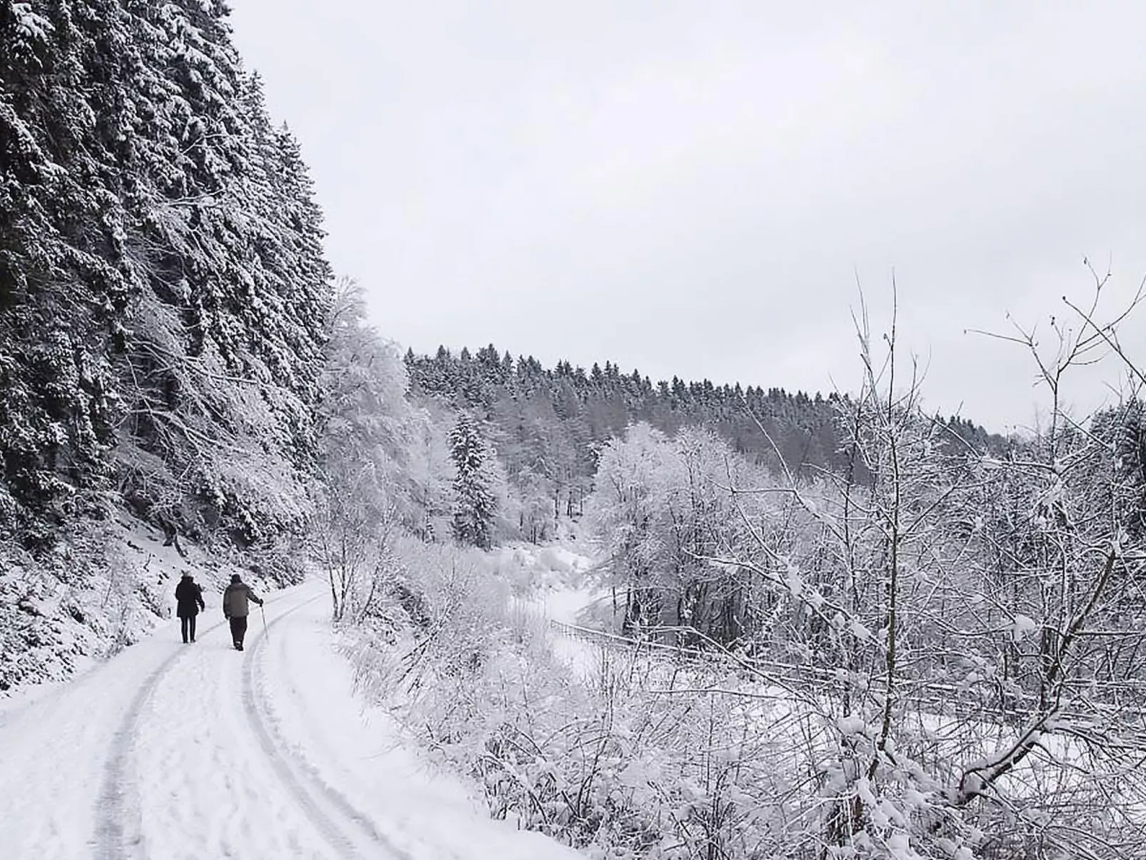 Engelenhof Winterberg - Monica - Buiten
