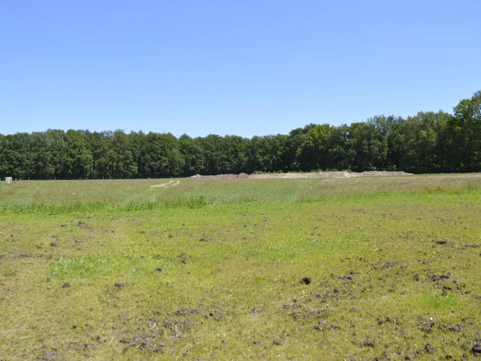 Hoeve Twente - De Oeverzwaluw - Buiten