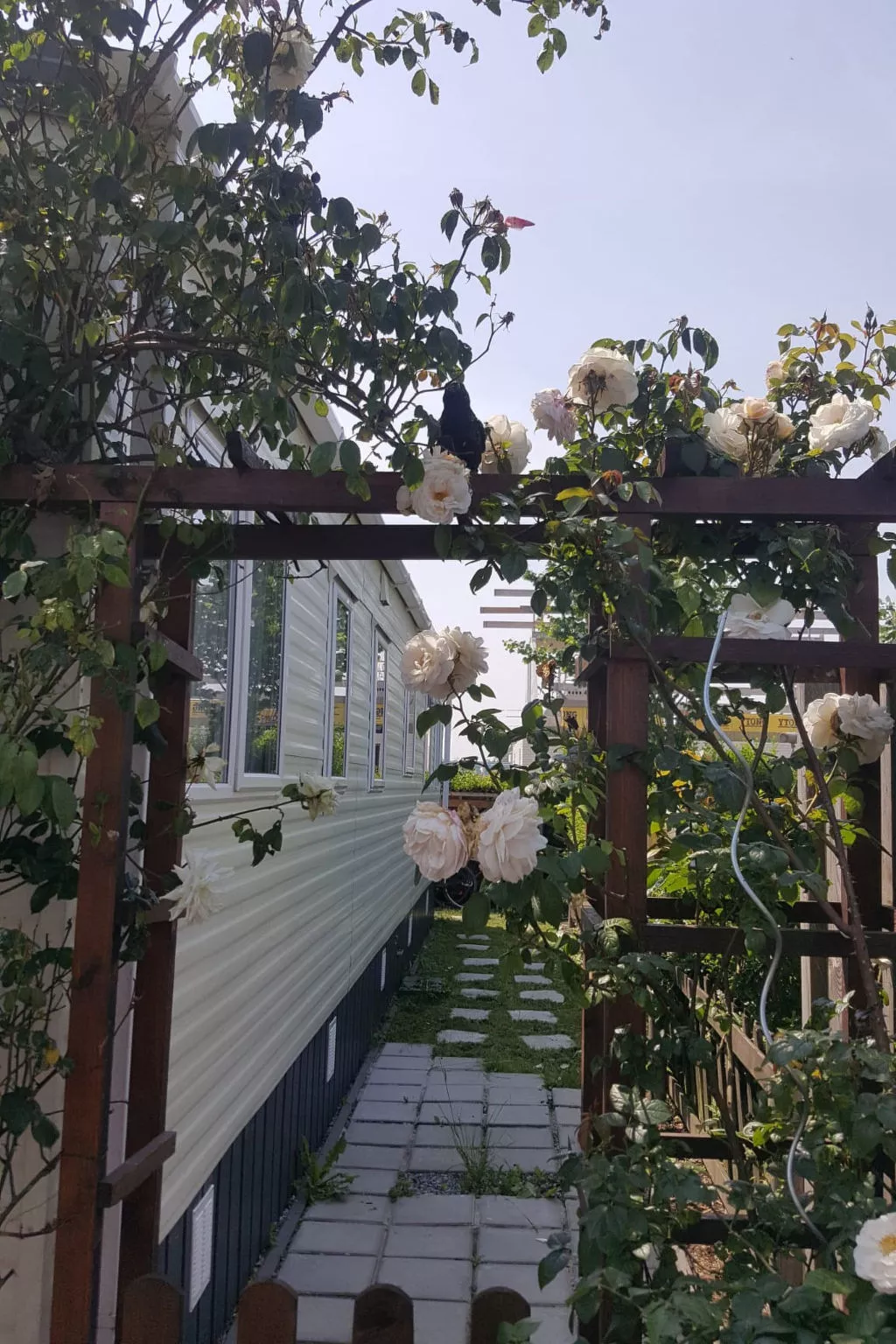 NV 102 - Beach Resort Nieuwvliet Bad - Buiten