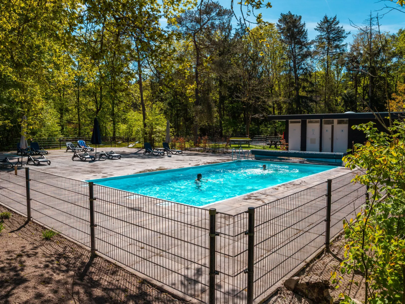 Vakantiepark De Wiltzangh - Sterrenborg Lodge - Buiten