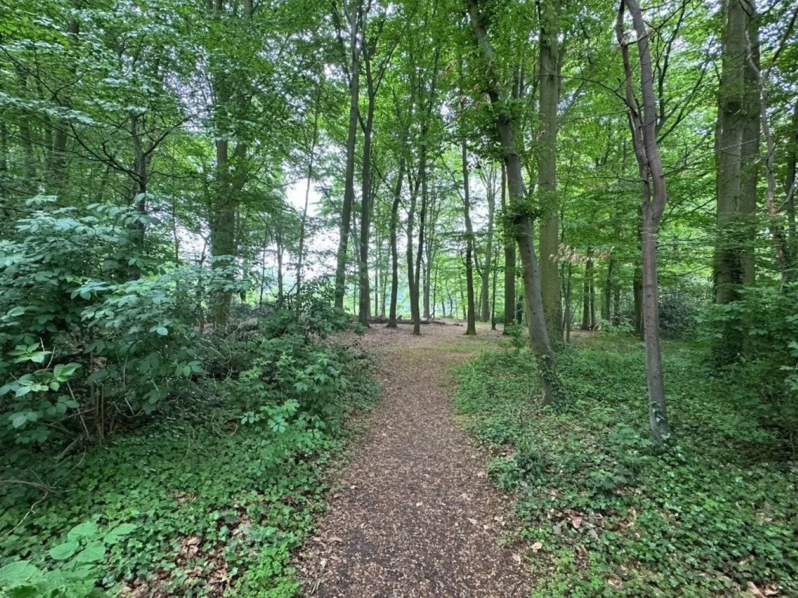 Bungalowpark Landsrade - Geschakelde Bungalow 25 - Buiten