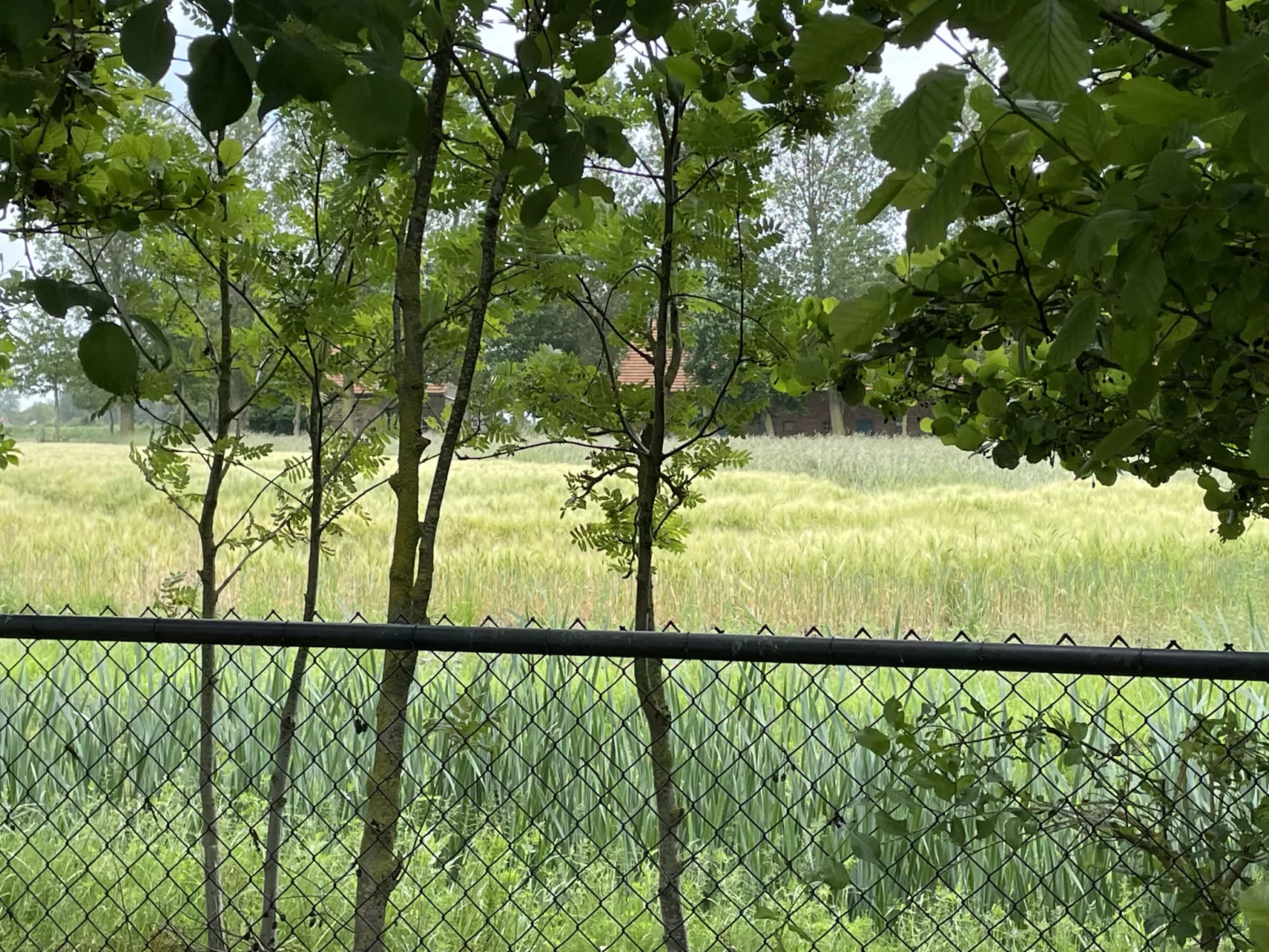 NV 1243 - Beach Resort Nieuwvliet Bad - Buiten