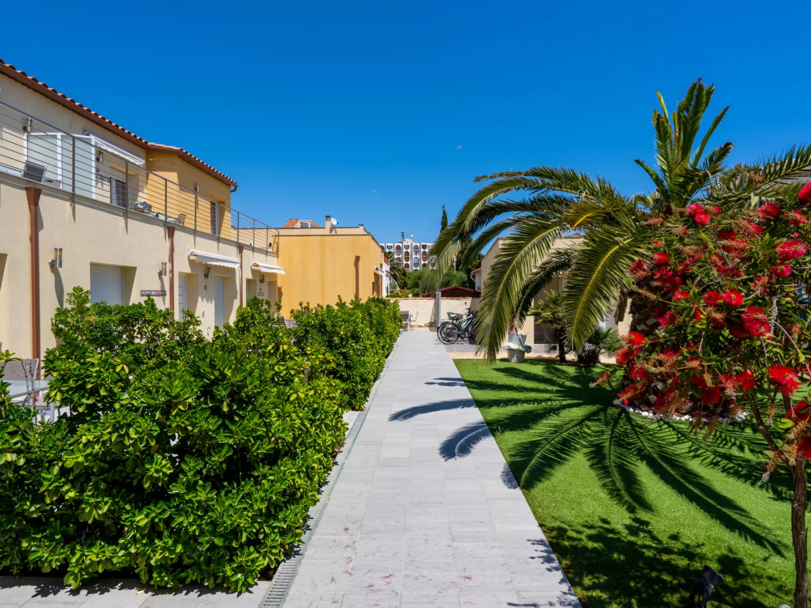 La Vida Sin Limites F  EMP - Buiten