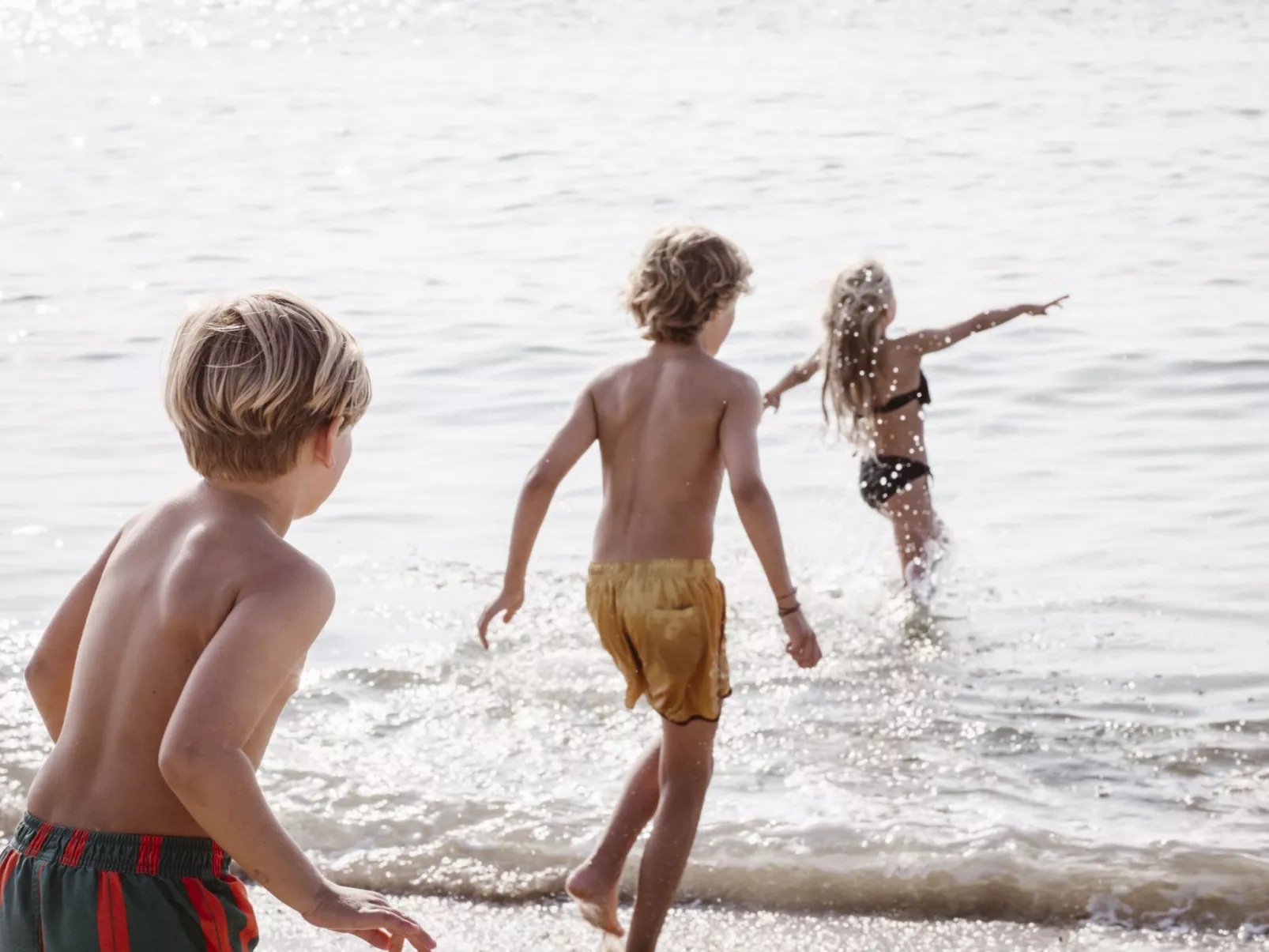 NV 1243 - Beach Resort Nieuwvliet Bad - Buiten