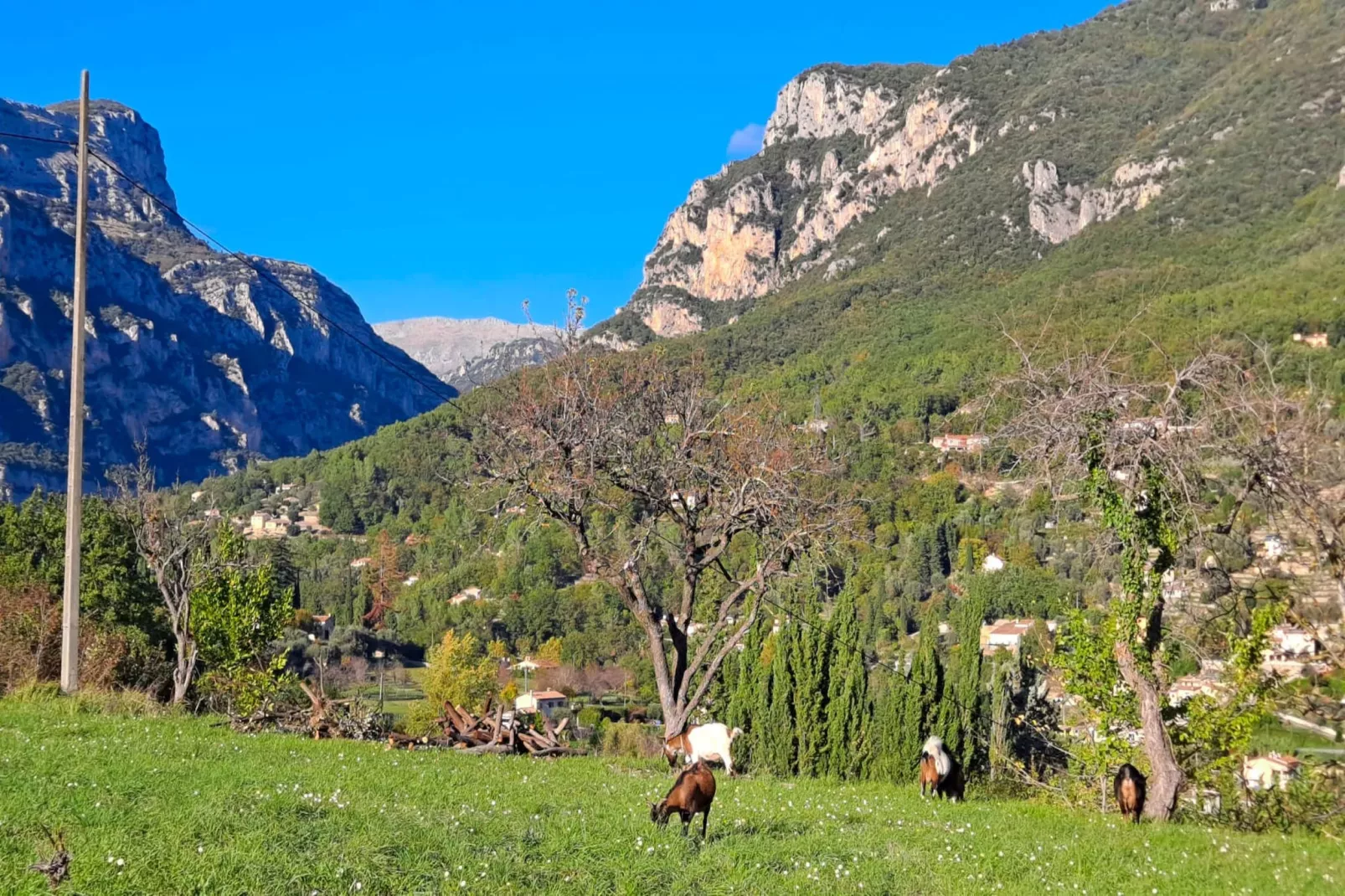 La Maison du Paysan - Gebieden zomer 1km