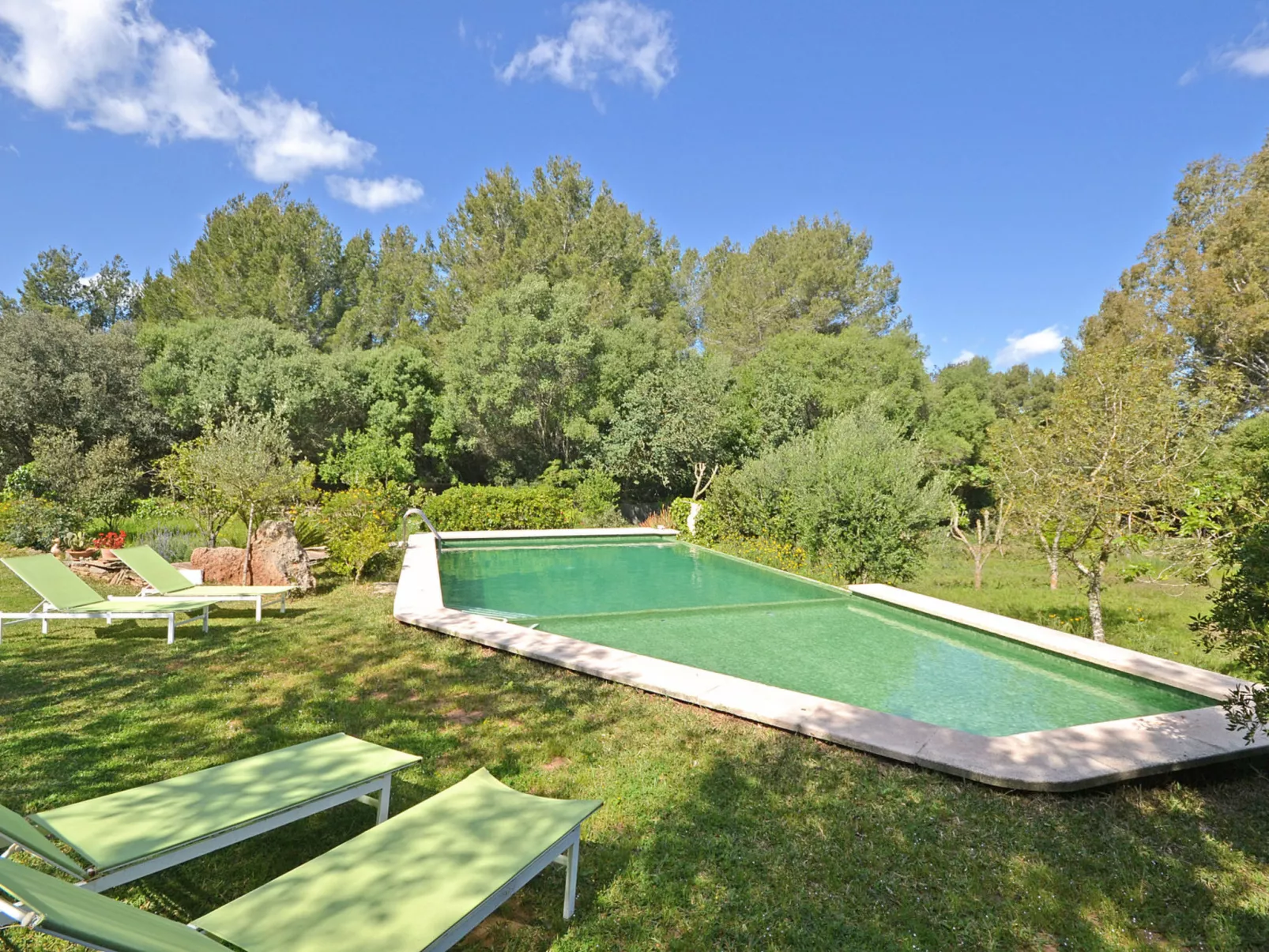 Spiros &quot-Camp Roig&quot- - Buiten