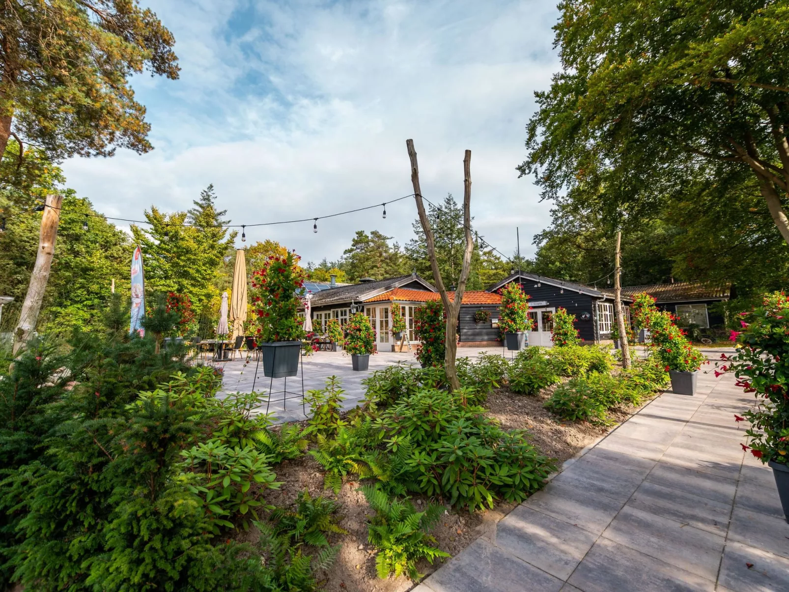 Vakantiepark De Wiltzangh - De Havezate Wellness - Omgeving