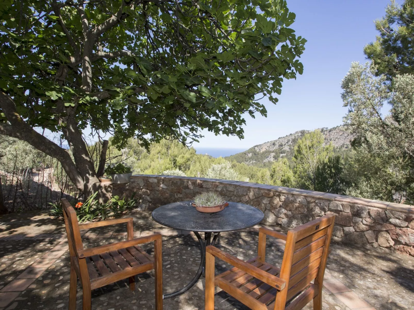 VILLA ES COCO SOLLER - Buiten