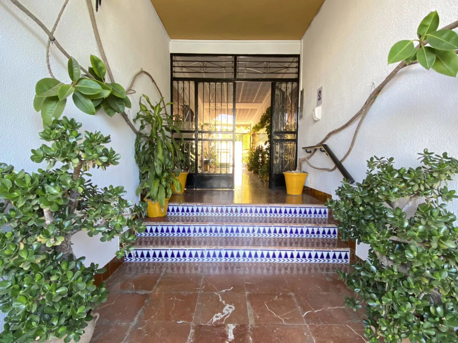 Acapulco Apartment 16 by Casasol - Buiten